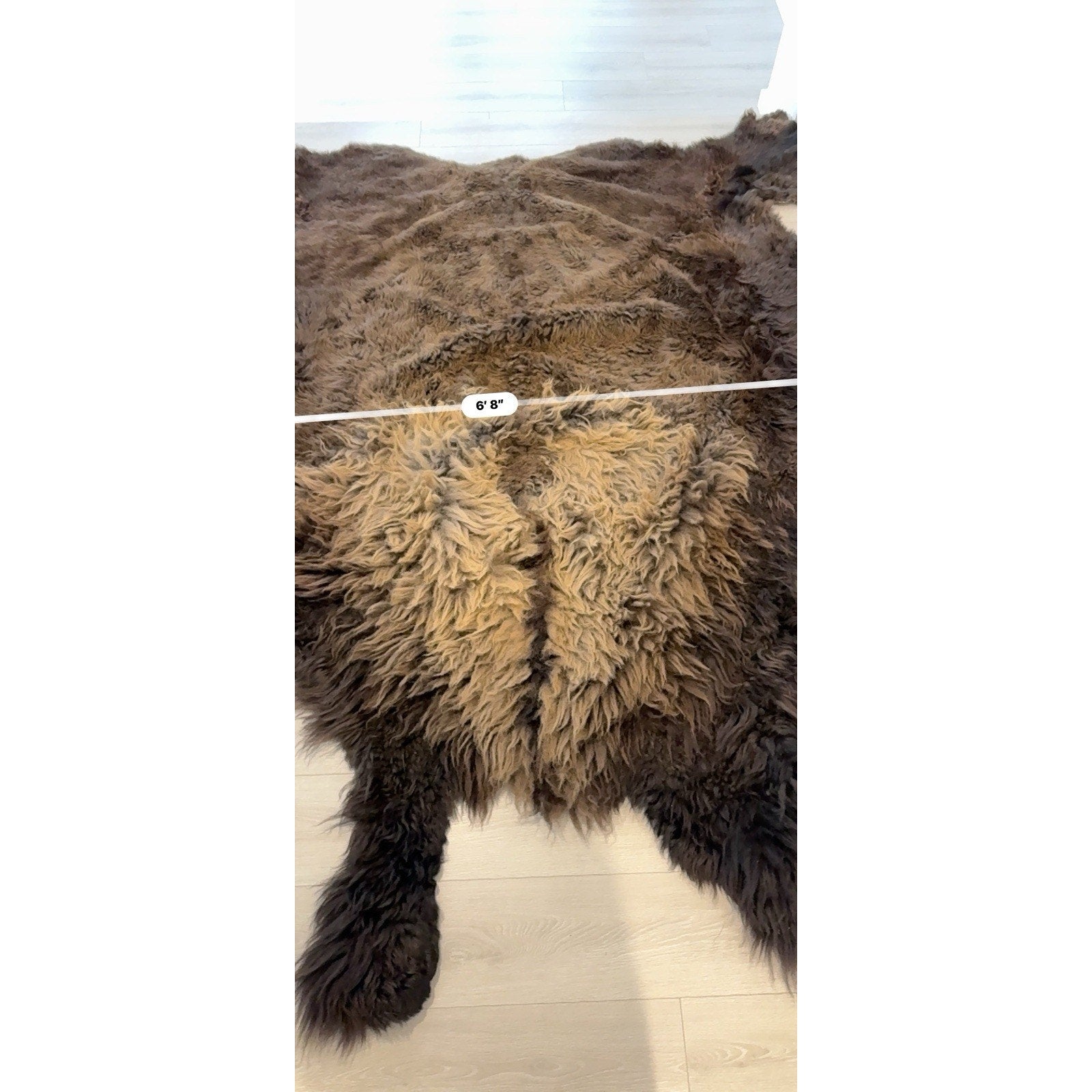 FHGUL5 - Premium Massive XXL bison Hide Rug Taxidermy Fur