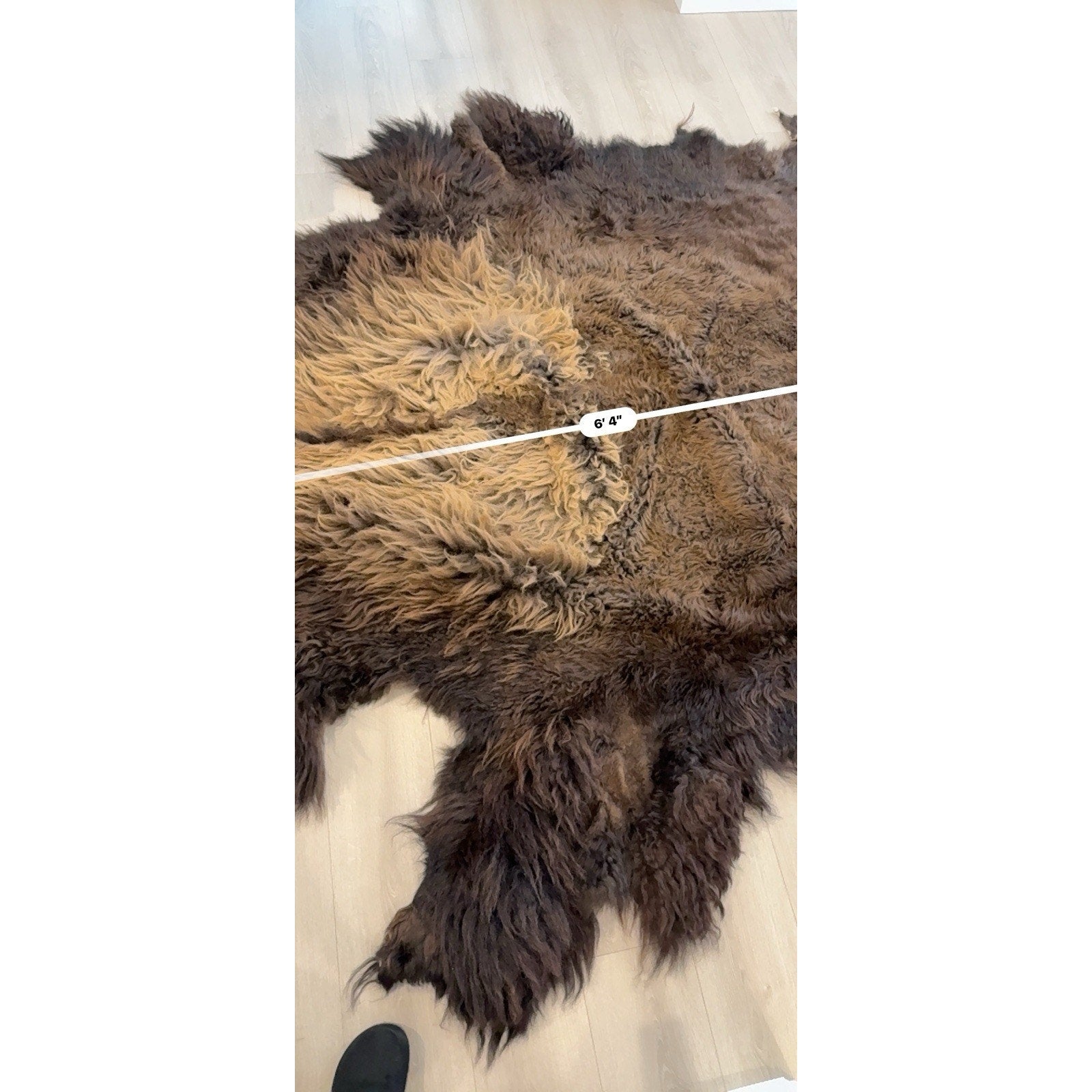 FHGUL5 - Premium Massive XXL bison Hide Rug Taxidermy Fur