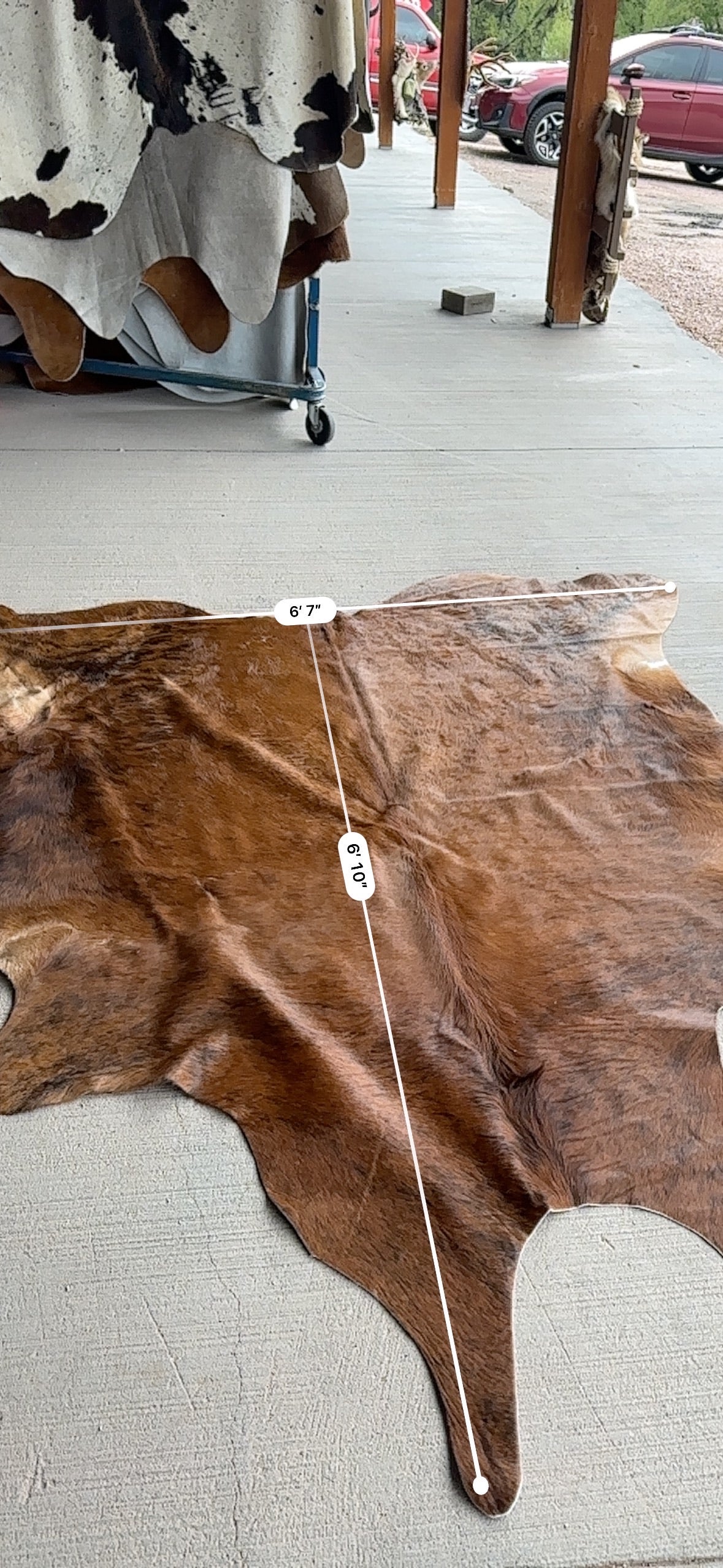 FHCOW29 - Premium Cow Hide Rugs Home Decor