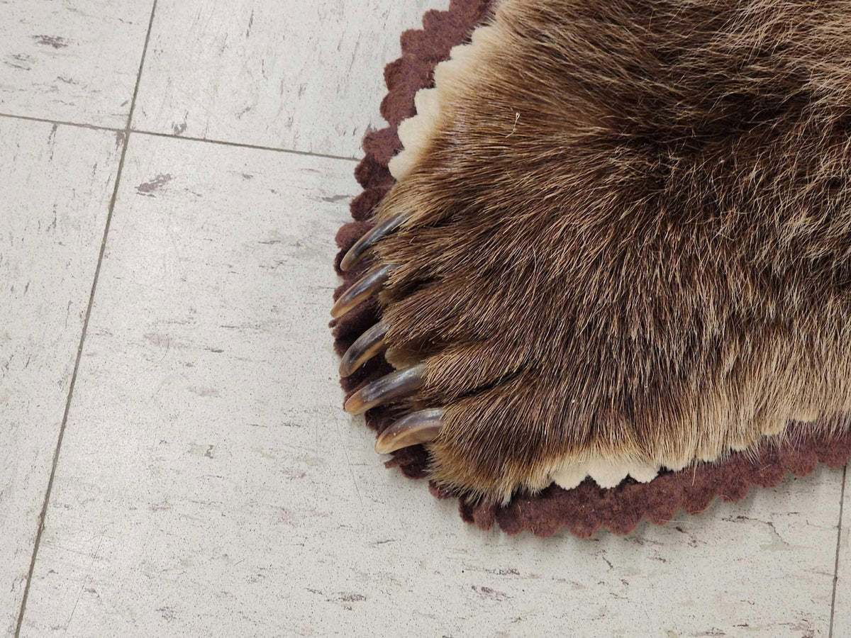 FH24G- Blonde Phase Russian Brown Bear Rug Taxidermy