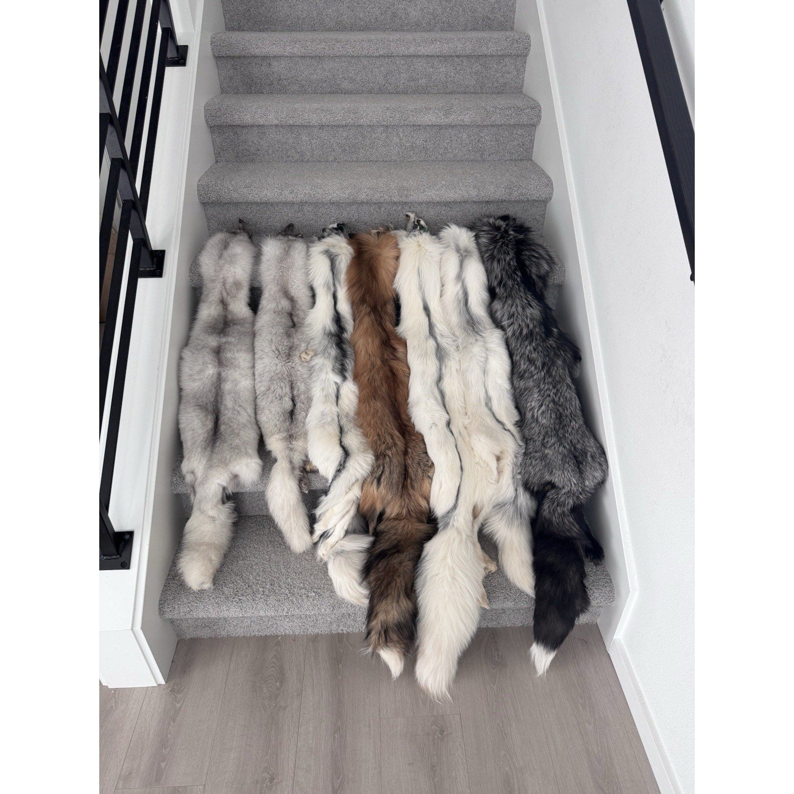 FHJAY793 - Mountable Premium Fox Full Body Hide For Taxidermy