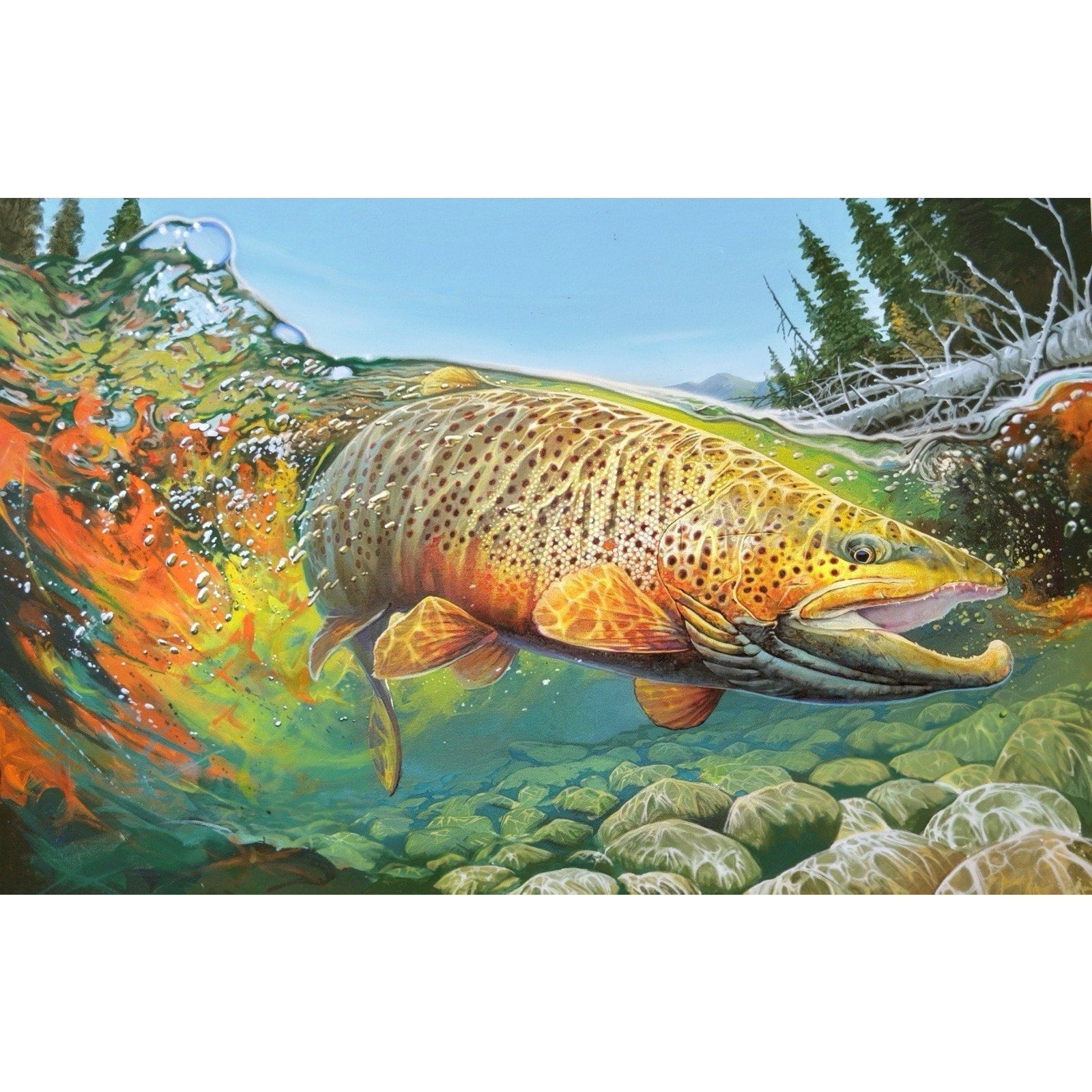 FHLO3 - Original Oil Painting Fish Artist Lowell shapley 3x2 Ft