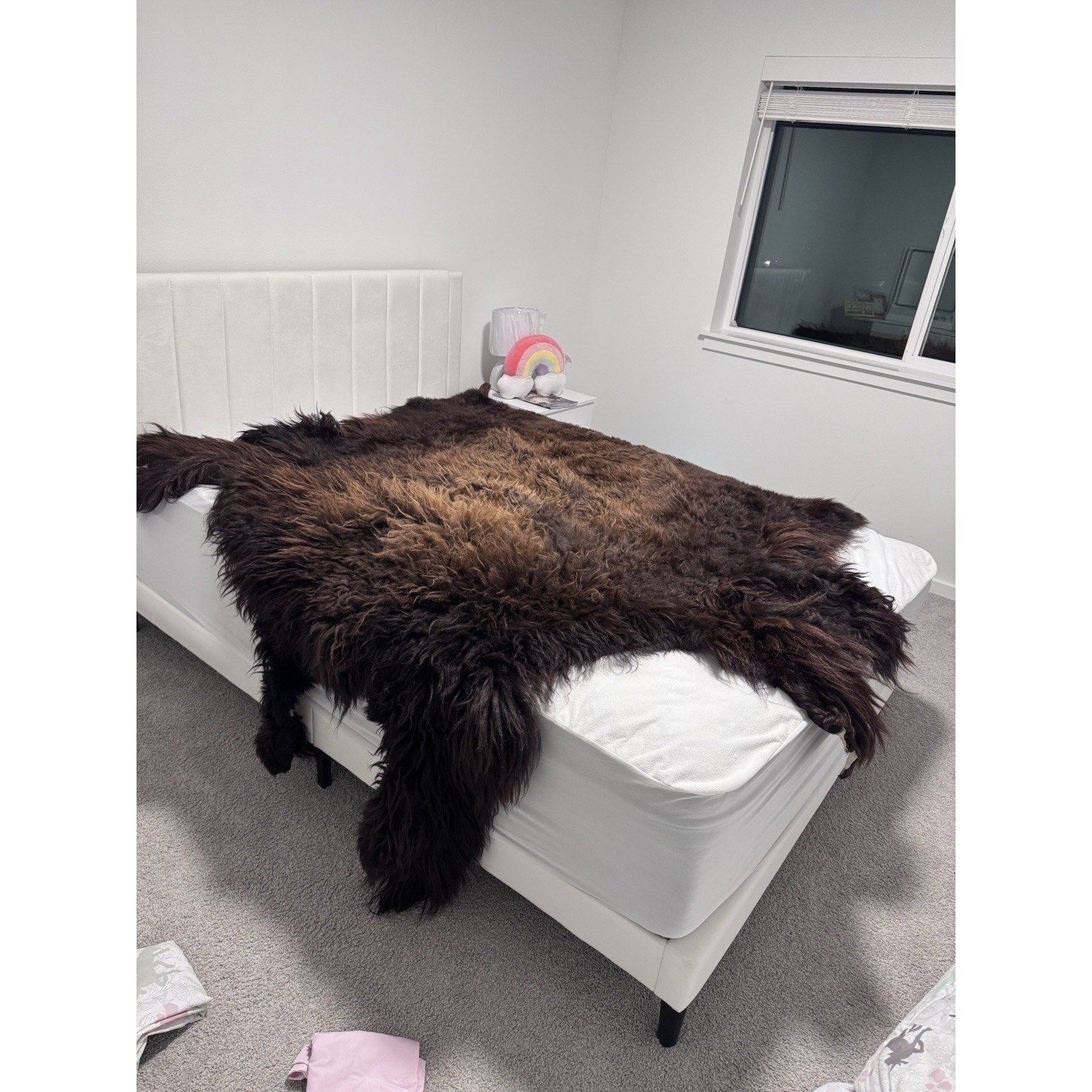 FHGUL1 - Premium Massive XXL bison Hide Rug Taxidermy Fur