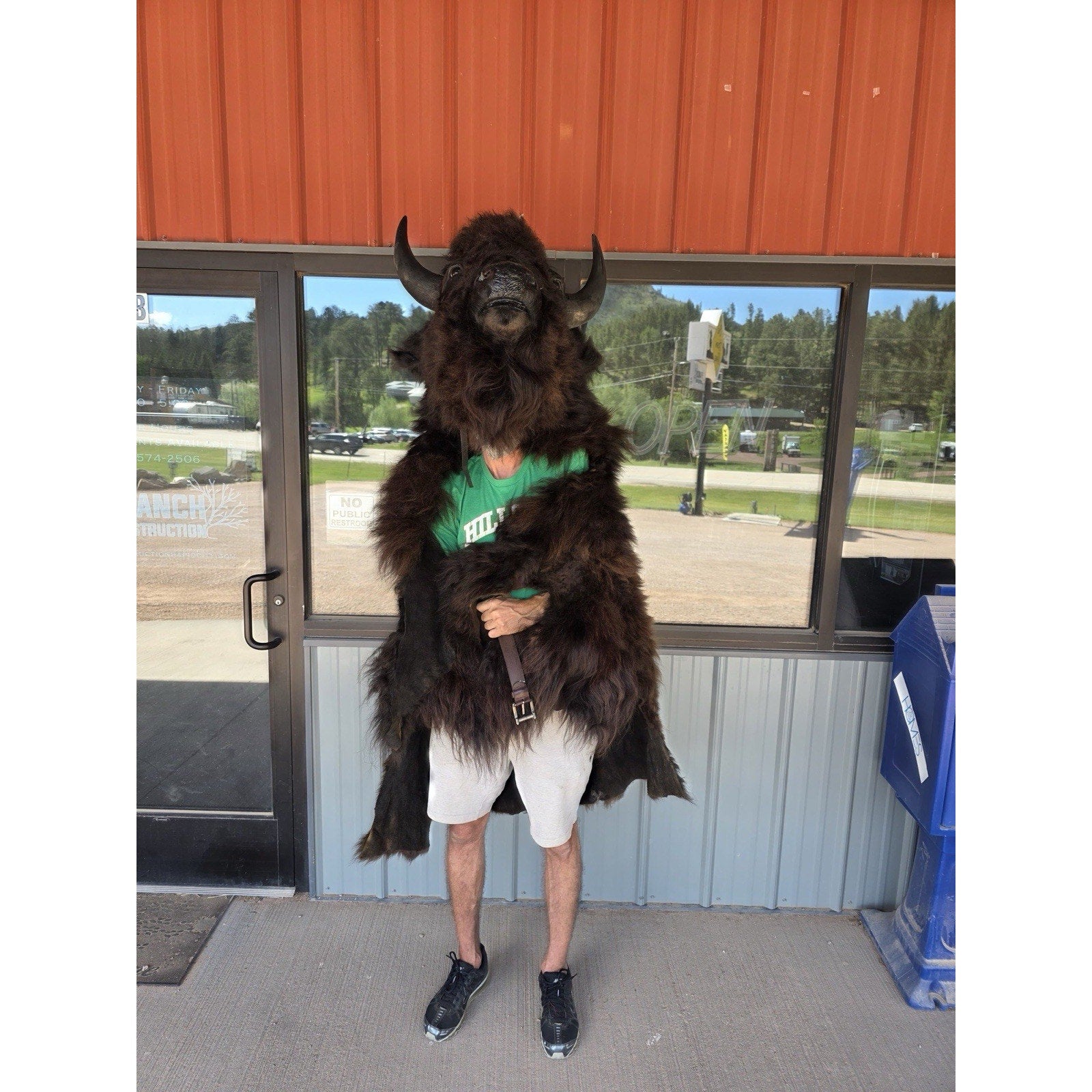 FHMASK1 - Real North American Buffalo / Bison mask/Headdress Taxidermy