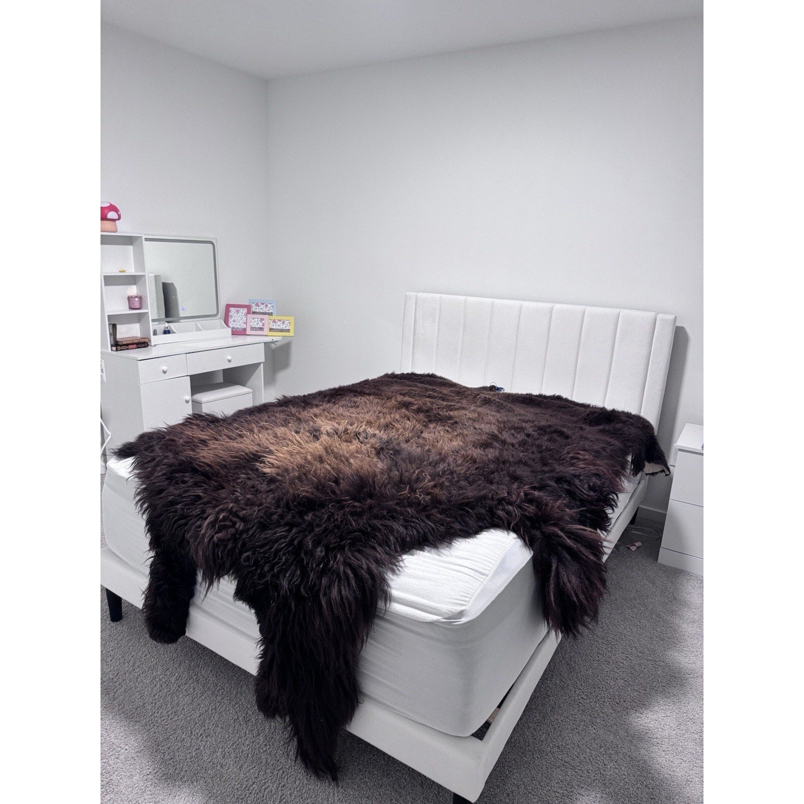 FHGUL1 - Premium Massive XXL bison Hide Rug Taxidermy Fur