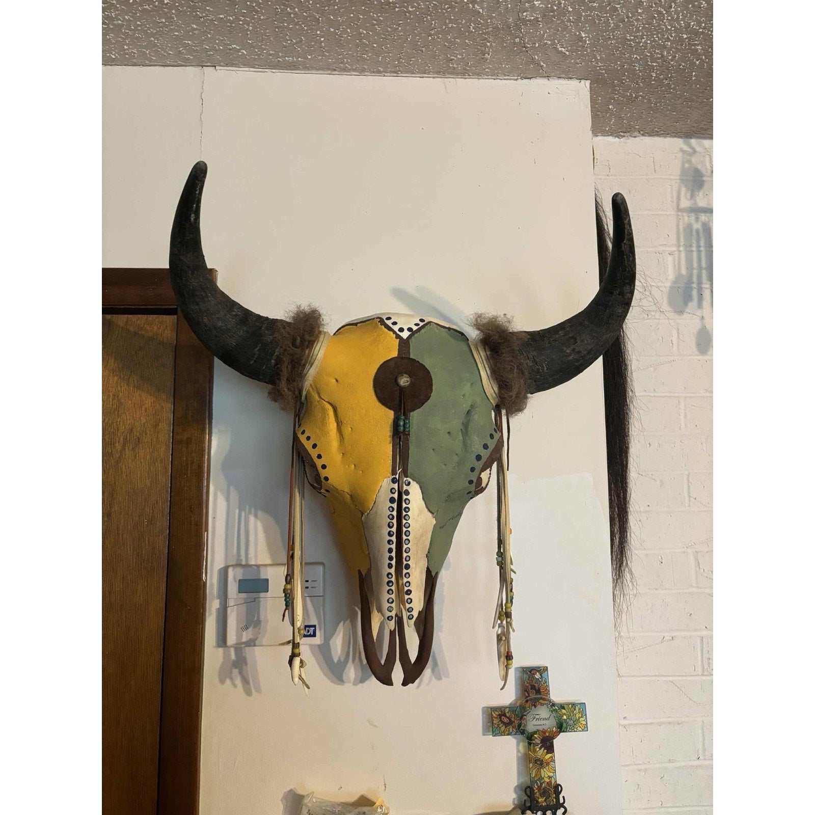 FHMM73 - Large Buffalo / Bison Skull Taxidermy Mount