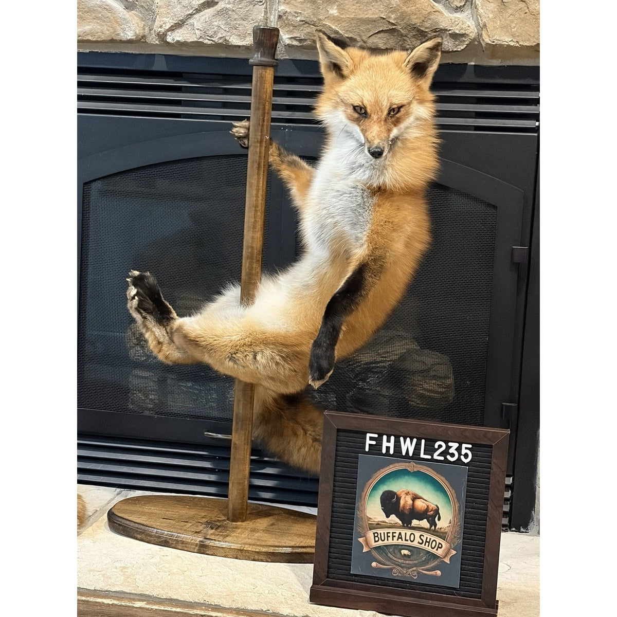 FHWL235 - Red Fox Taxidermy Stripper Dancing Full Body Mount