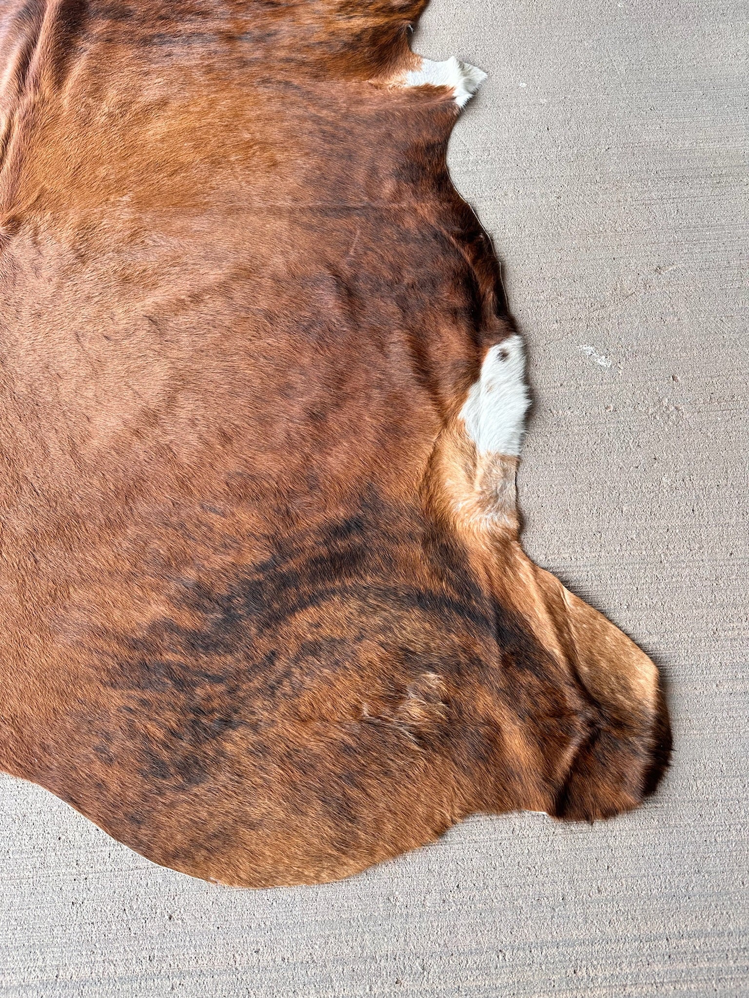 FHCOW29 - Premium Cow Hide Rugs Home Decor