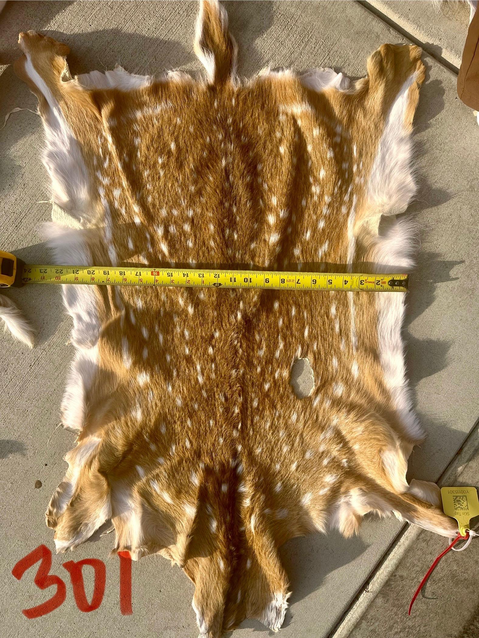 FHWA400 - Professionally tanned XL axis deer hide