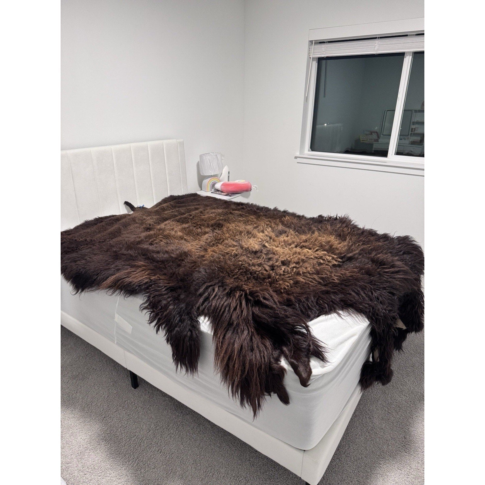 FHGUL1 - Premium Massive XXL bison Hide Rug Taxidermy Fur