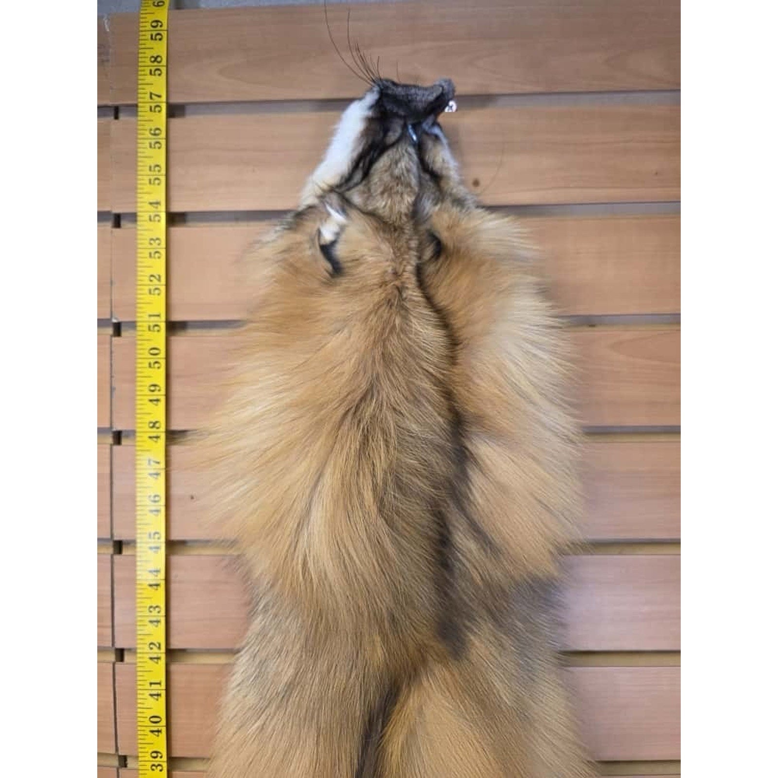 FHCM18 - Gorgeous Ranch Fox Soft Tanned Fur