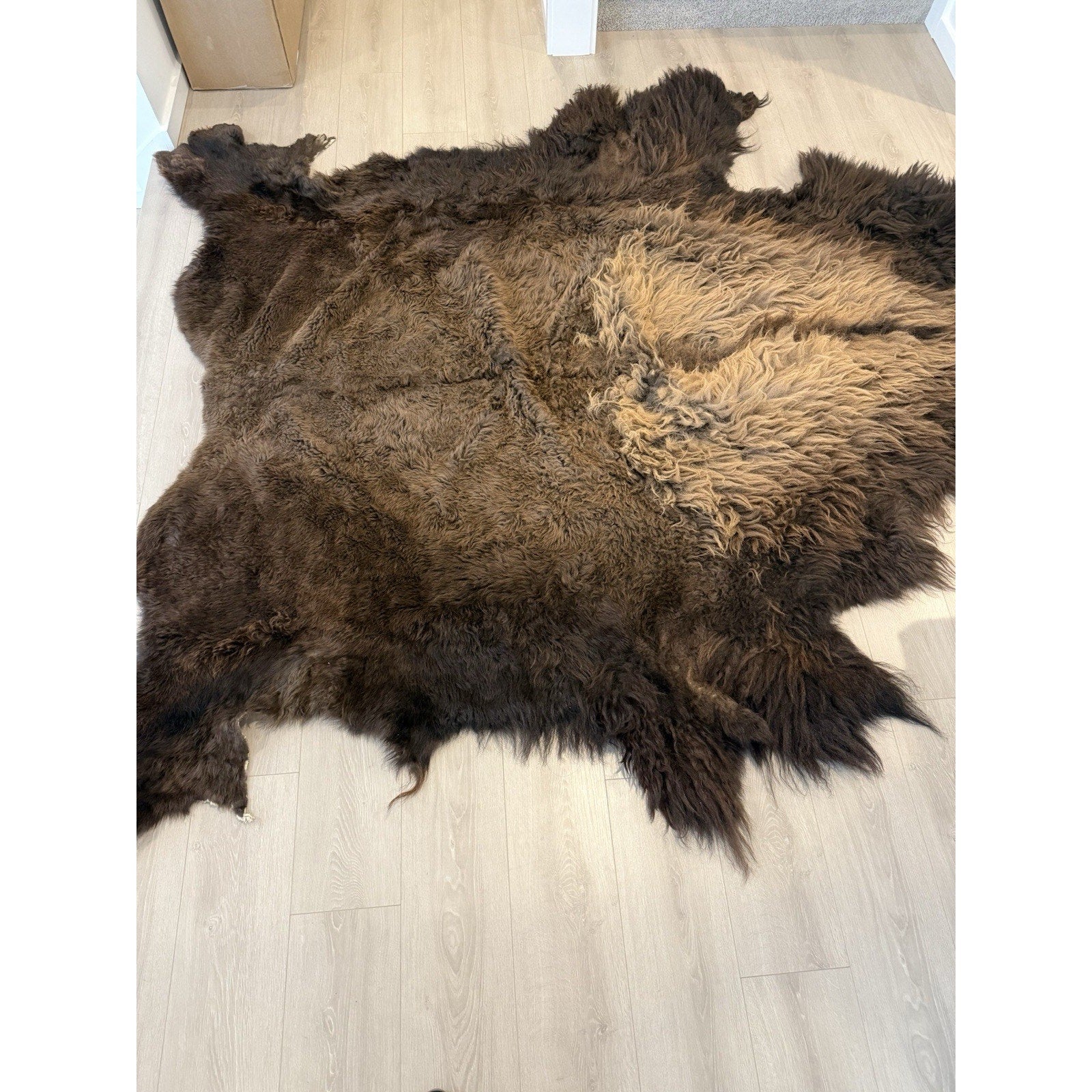 FHGUL5 - Premium Massive XXL bison Hide Rug Taxidermy Fur