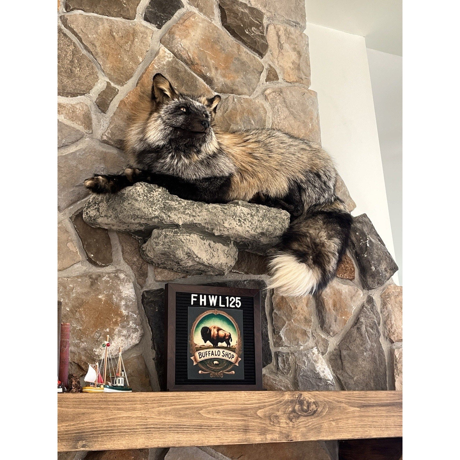 FHWL125 - Ranch Fox Taxidermy Full Body Mount