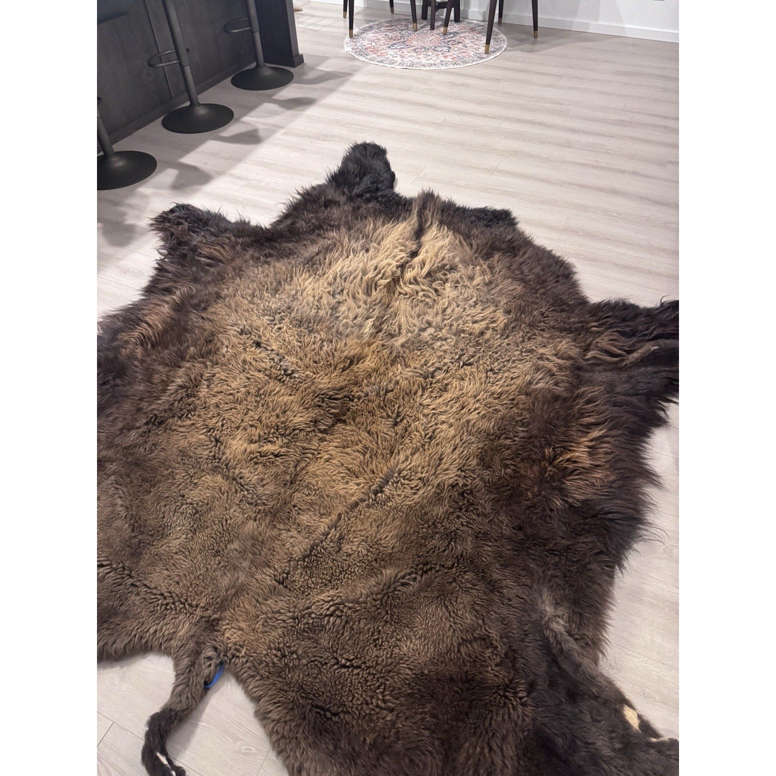 FHGUL2 - Premium Massive XXL bison Hide Rug Taxidermy Fur