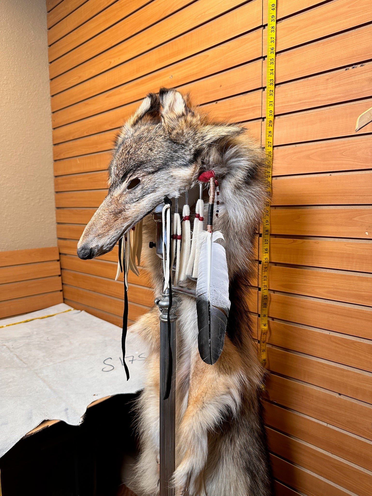 FH204- Authentic handmade native real wolf headdress