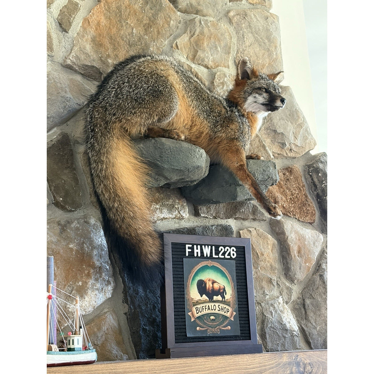 FHWL226 - Grey Fox Taxidermy Full Body Mount Cabin Camp Man Cave