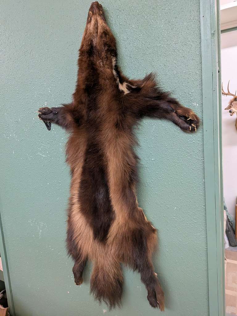 FHSUZ21 - Wolverine Wall Hanger NiceFur