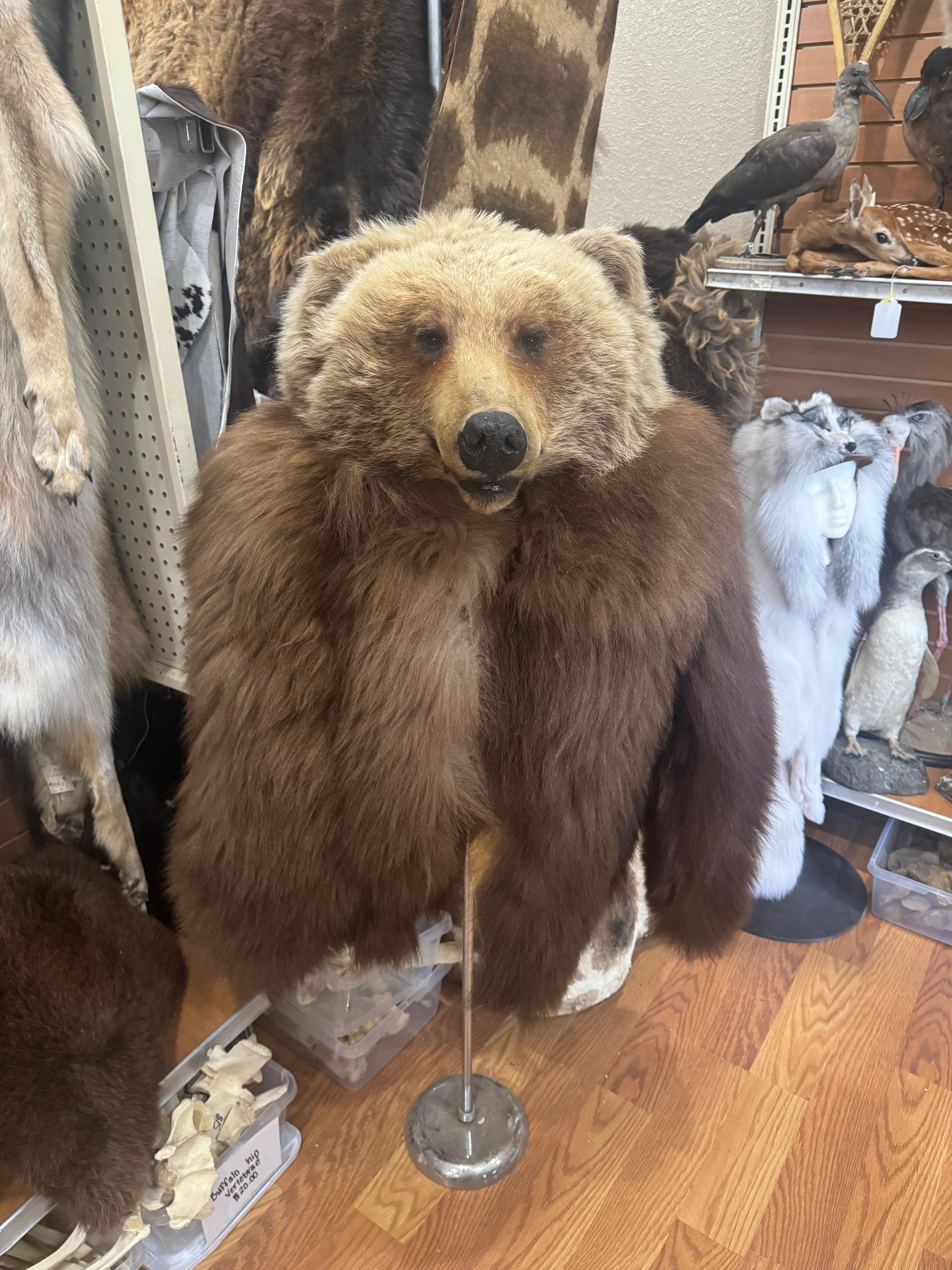 FHSUZ26 - Grizzly Bear Real Fur Coat With Grizzly Bear Head