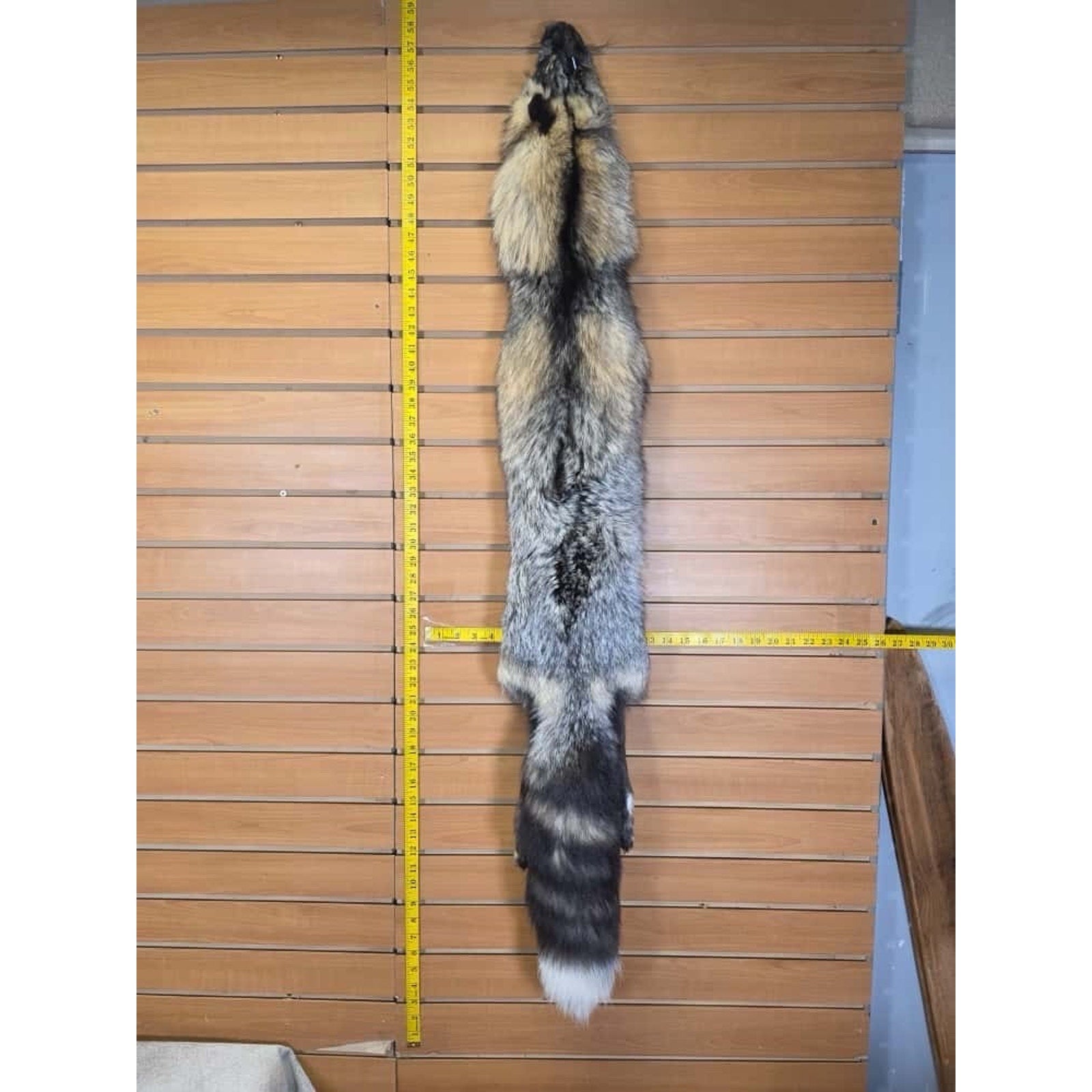 FHCM15 - Gorgeous Ranch Fox Soft Tanned Furs Taxidermy