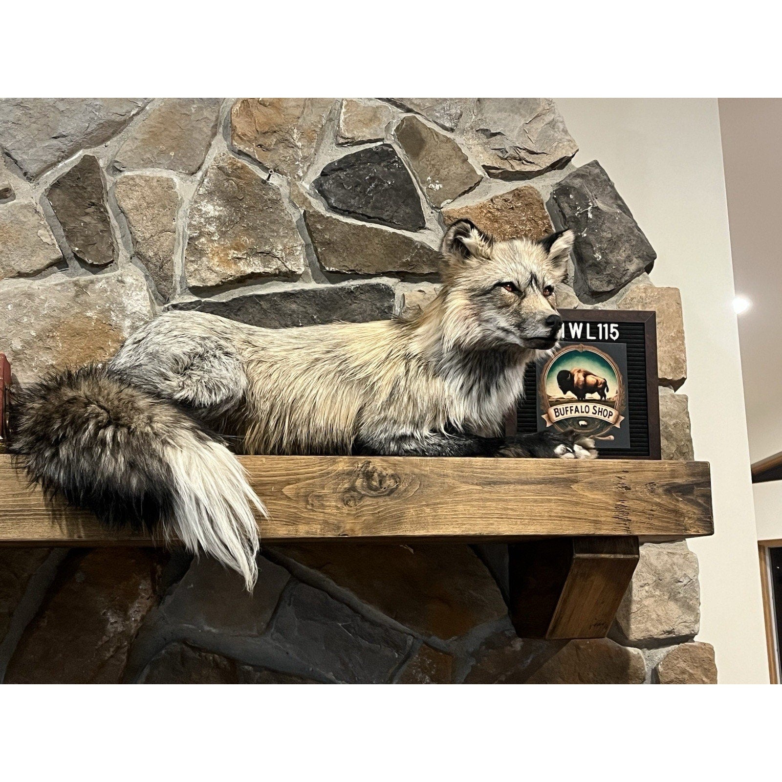 FHWL115- Premium Fox Taxidermy Full Body Mount