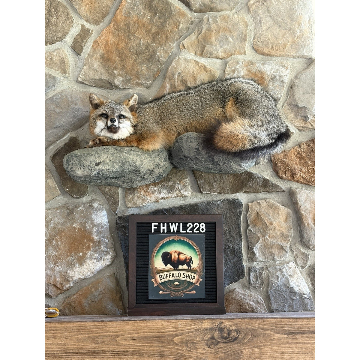 FHWL228 - Grey Fox Taxidermy Full Body Mount Cabin Camp Man Cave