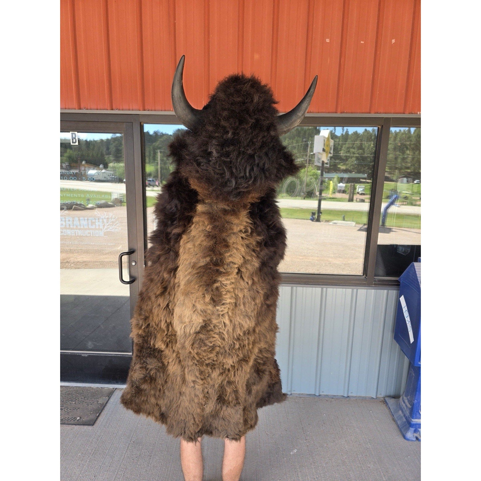 FHMASK1 - Real North American Buffalo / Bison mask/Headdress Taxidermy