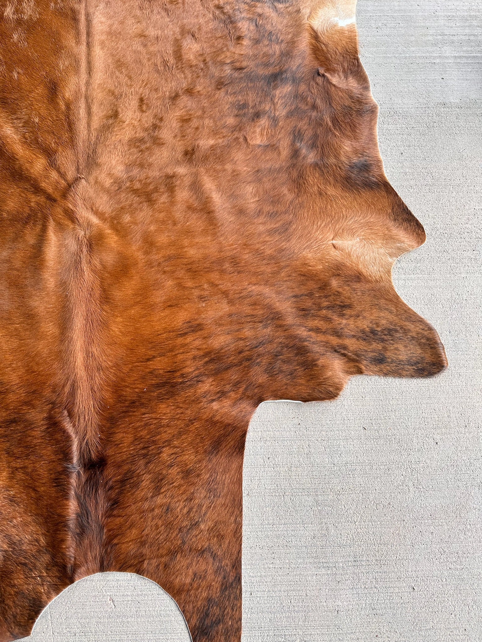 FHCOW29 - Premium Cow Hide Rugs Home Decor