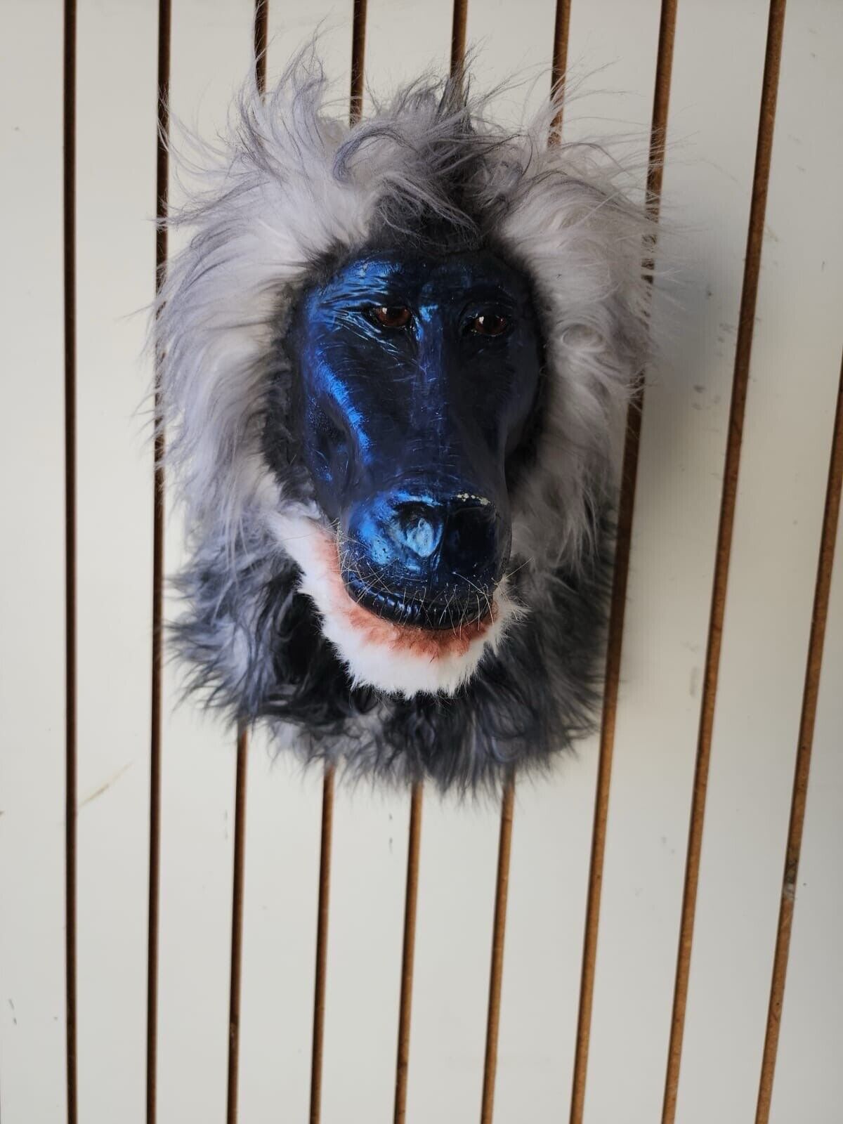 Reproduction Drill Baboon Shoulder Mount Taxidermy