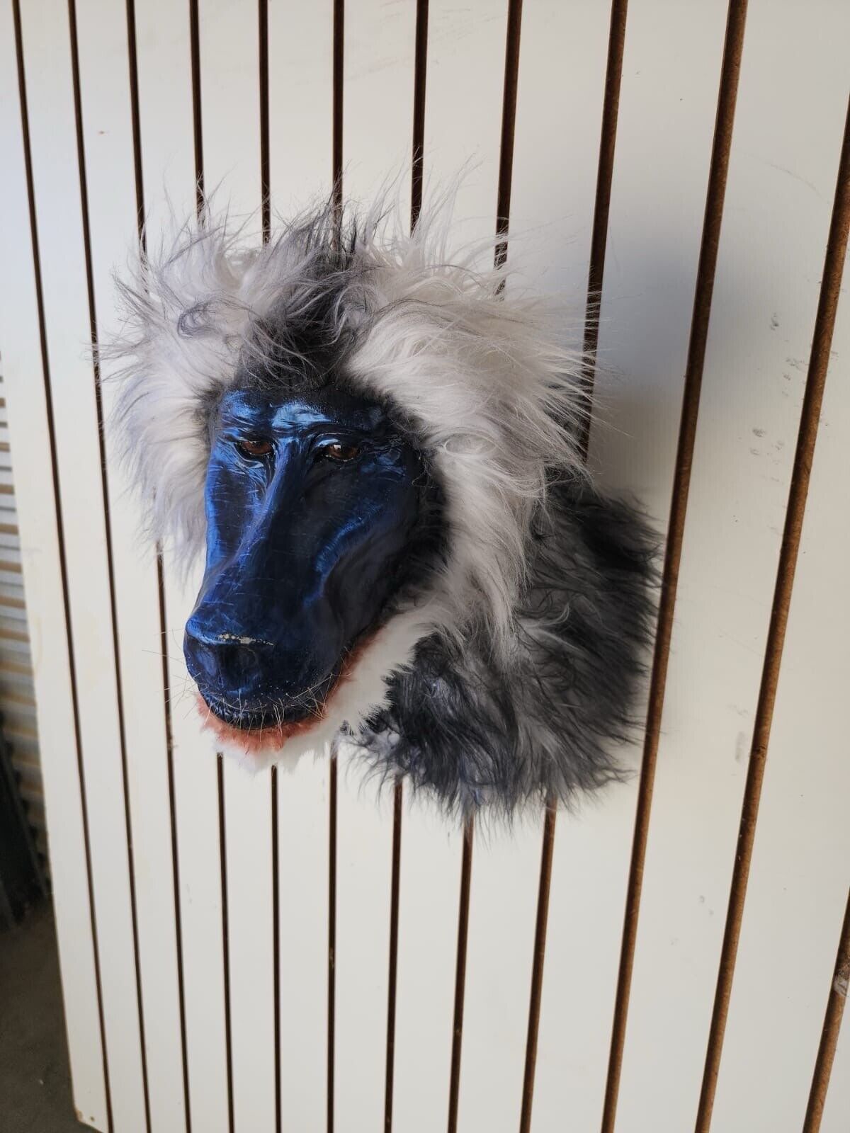 Reproduction Drill Baboon Shoulder Mount Taxidermy