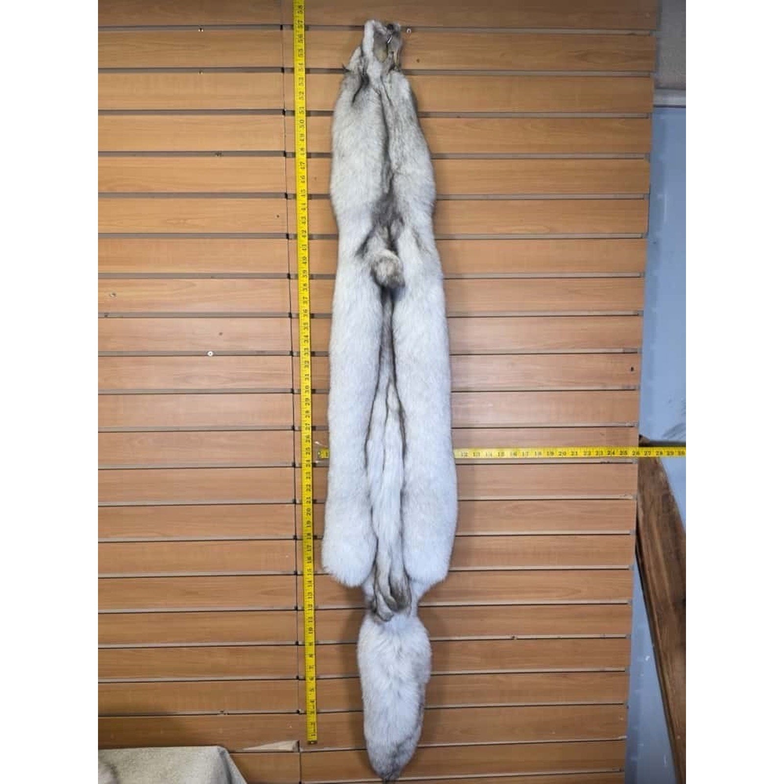 FHCM10 - Soft Tanned Blue Ranch Fox Furs Taxidermy