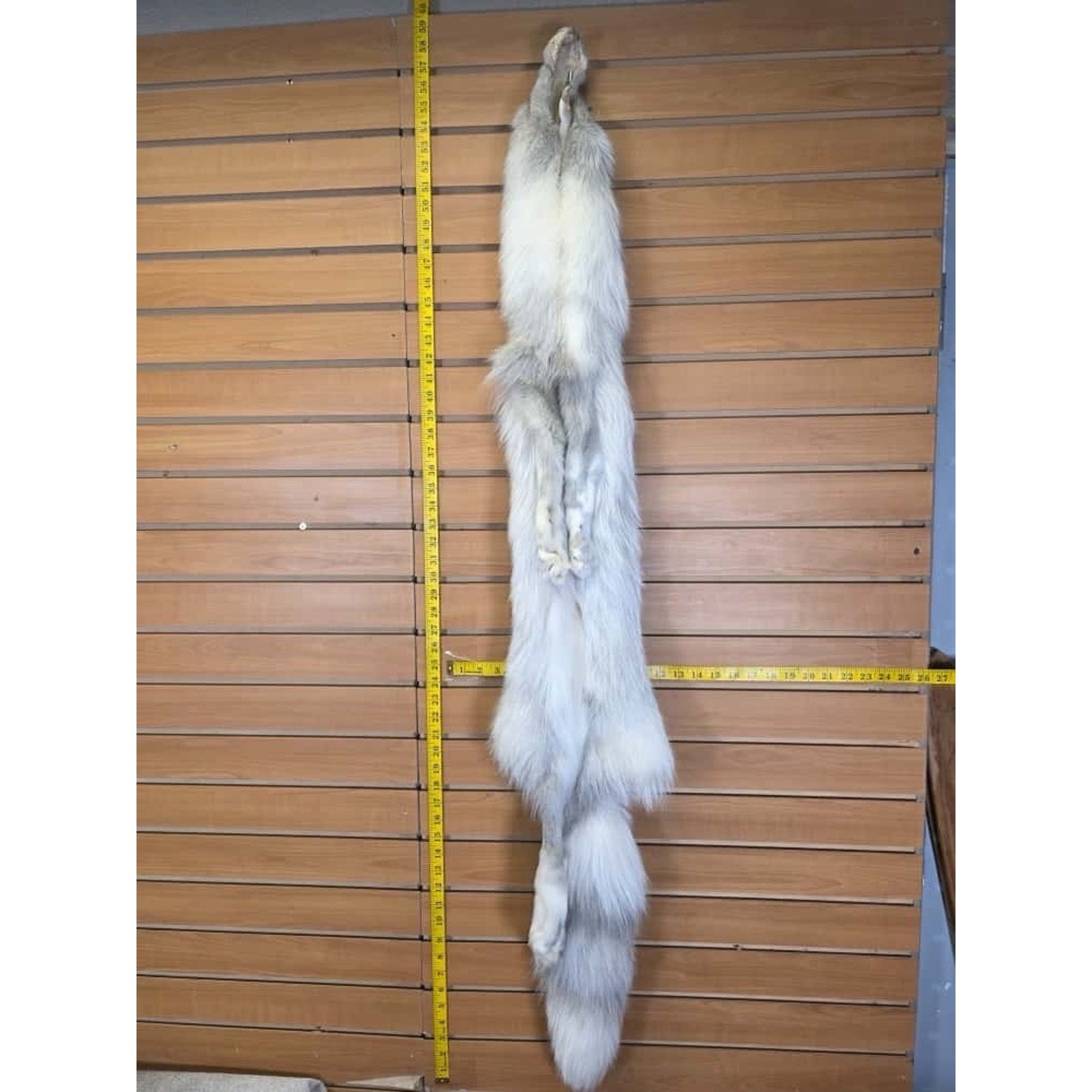 FHCM13 - Ranch Fox Soft Tanned Furs Taxidermy