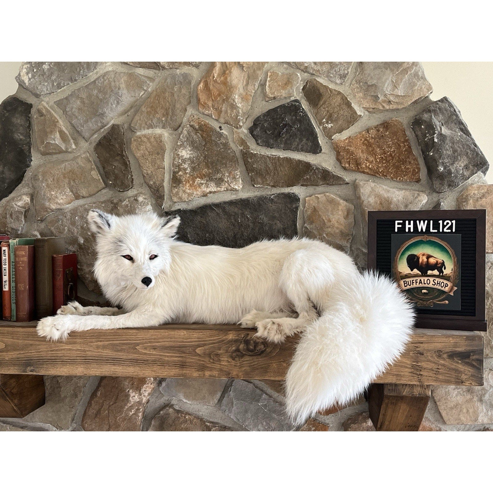FHWL121 - White Ranch Fox Taxidermy Full Body Mount