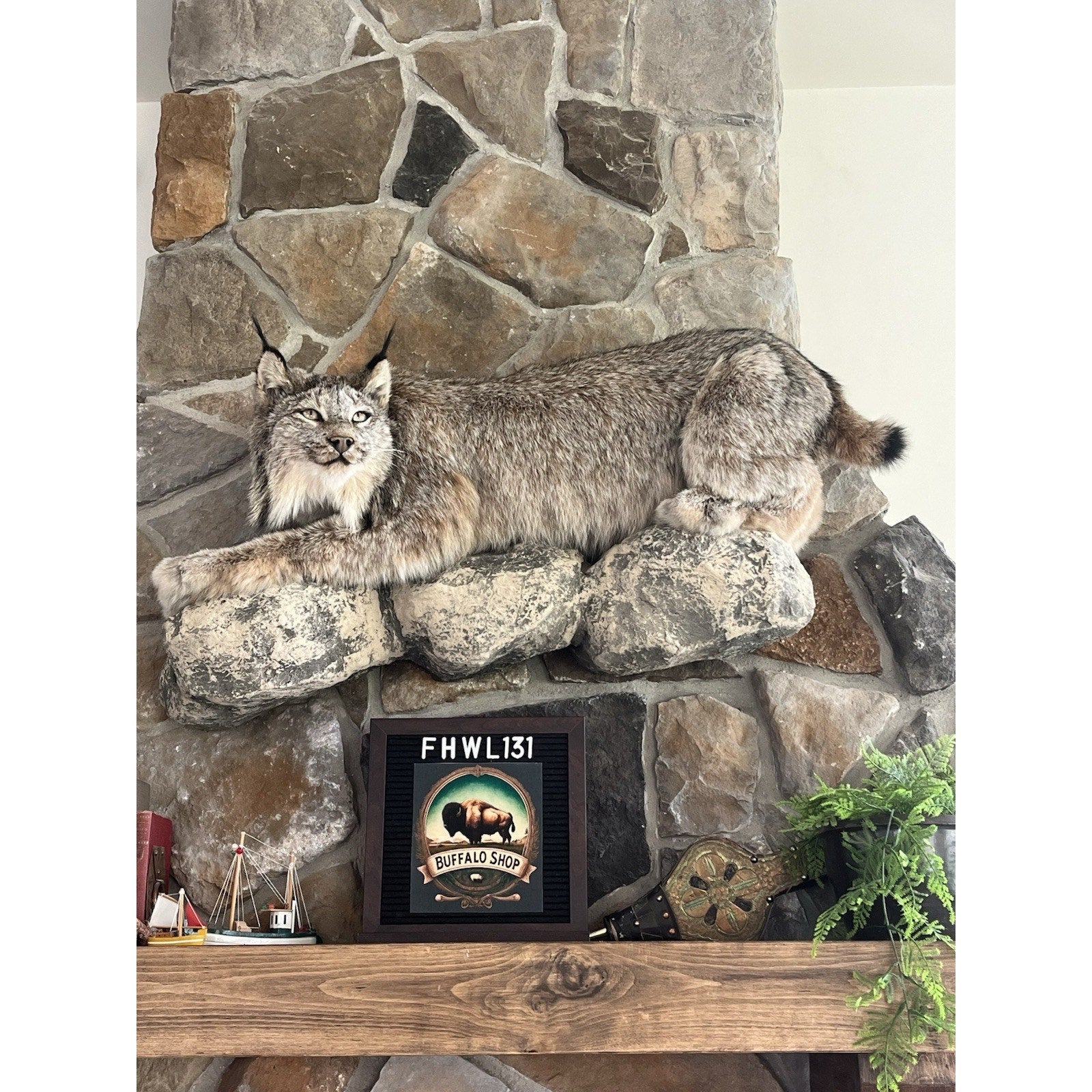 FHWL131 - Alaskan Lynx Taxidermy Full Body Mount Prime Fur