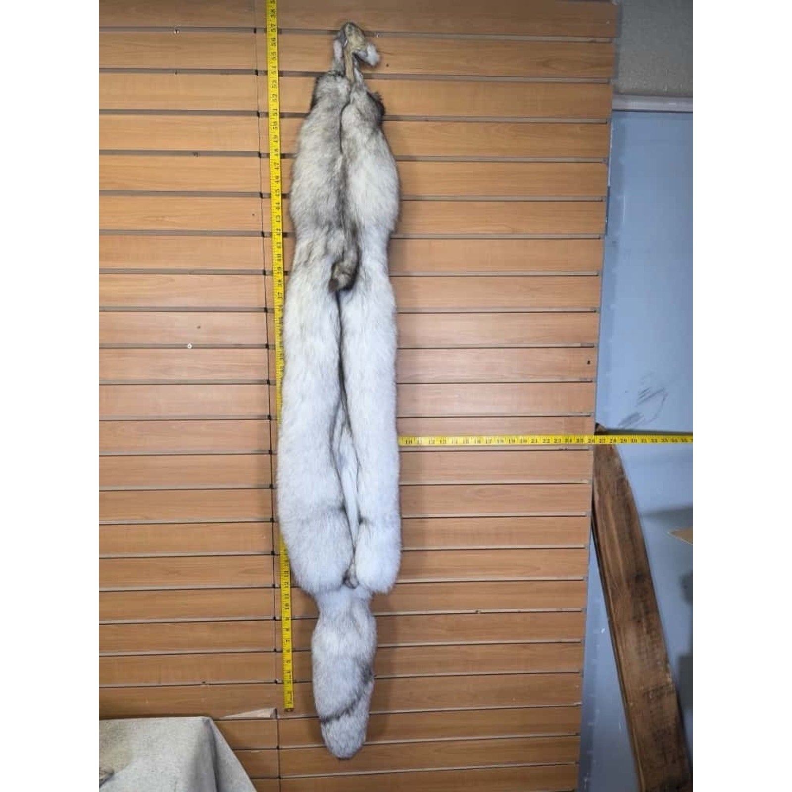 FHCM6- Blue Ranch Fox Soft Tanned Furs Taxidermy