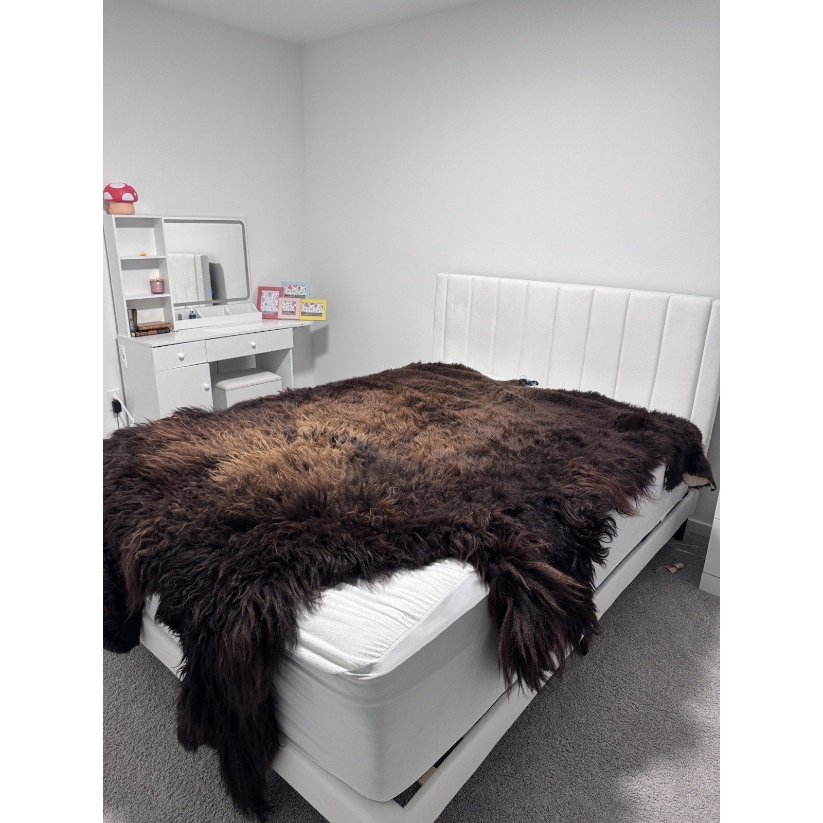 FHGUL1 - Premium Massive XXL bison Hide Rug Taxidermy Fur
