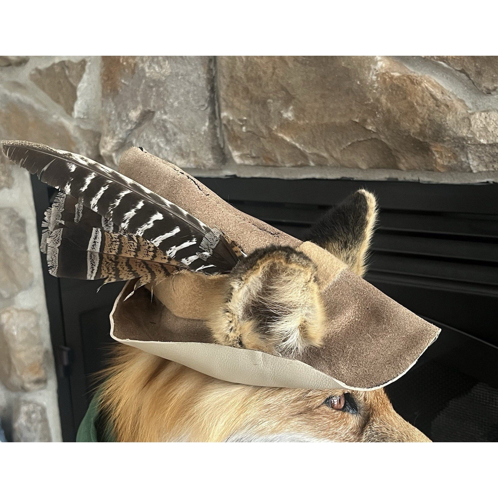 FHWL37 - Robinhood Red Fox Custom Made Taxidermy Mount