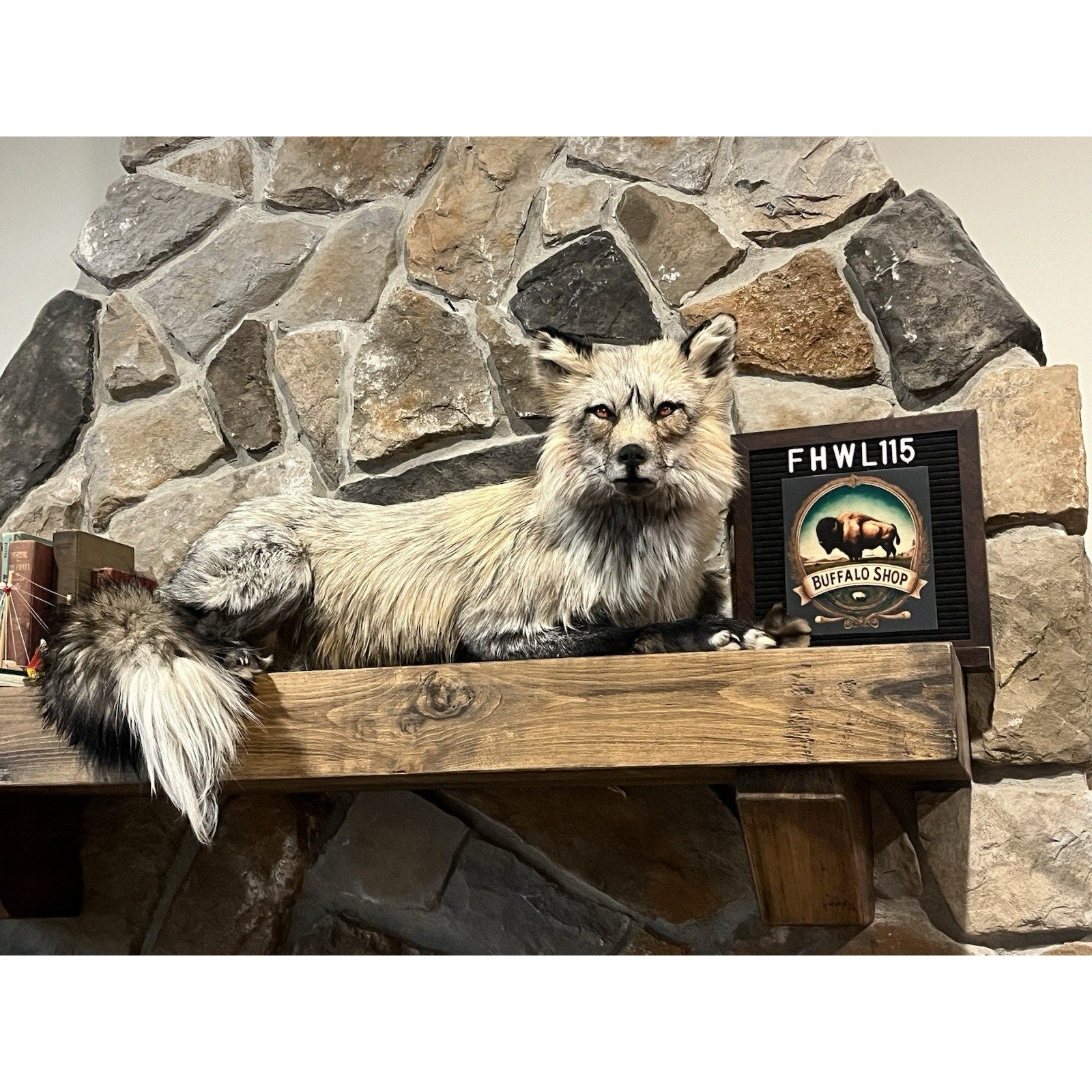 FHWL115- Premium Fox Taxidermy Full Body Mount
