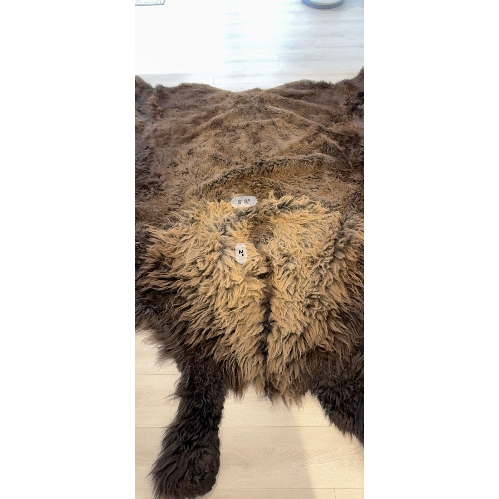 FHGUL5 - Premium Massive XXL bison Hide Rug Taxidermy Fur