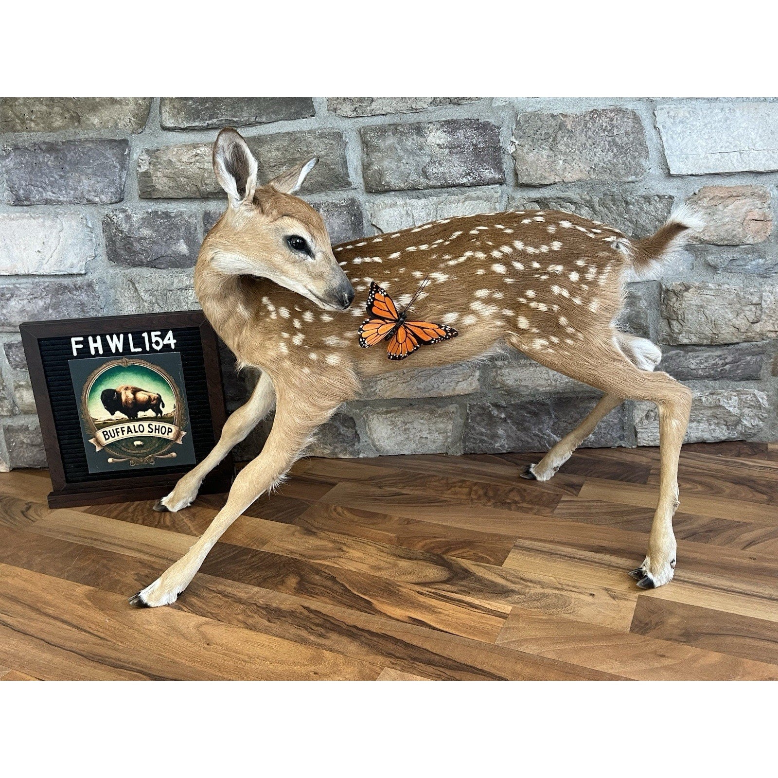 FHWL154 - Fawn Lifesize Taxidermy Mount Free Standing