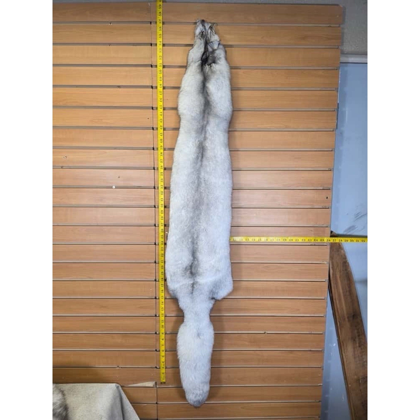 FHCM10 - Soft Tanned Blue Ranch Fox Furs Taxidermy