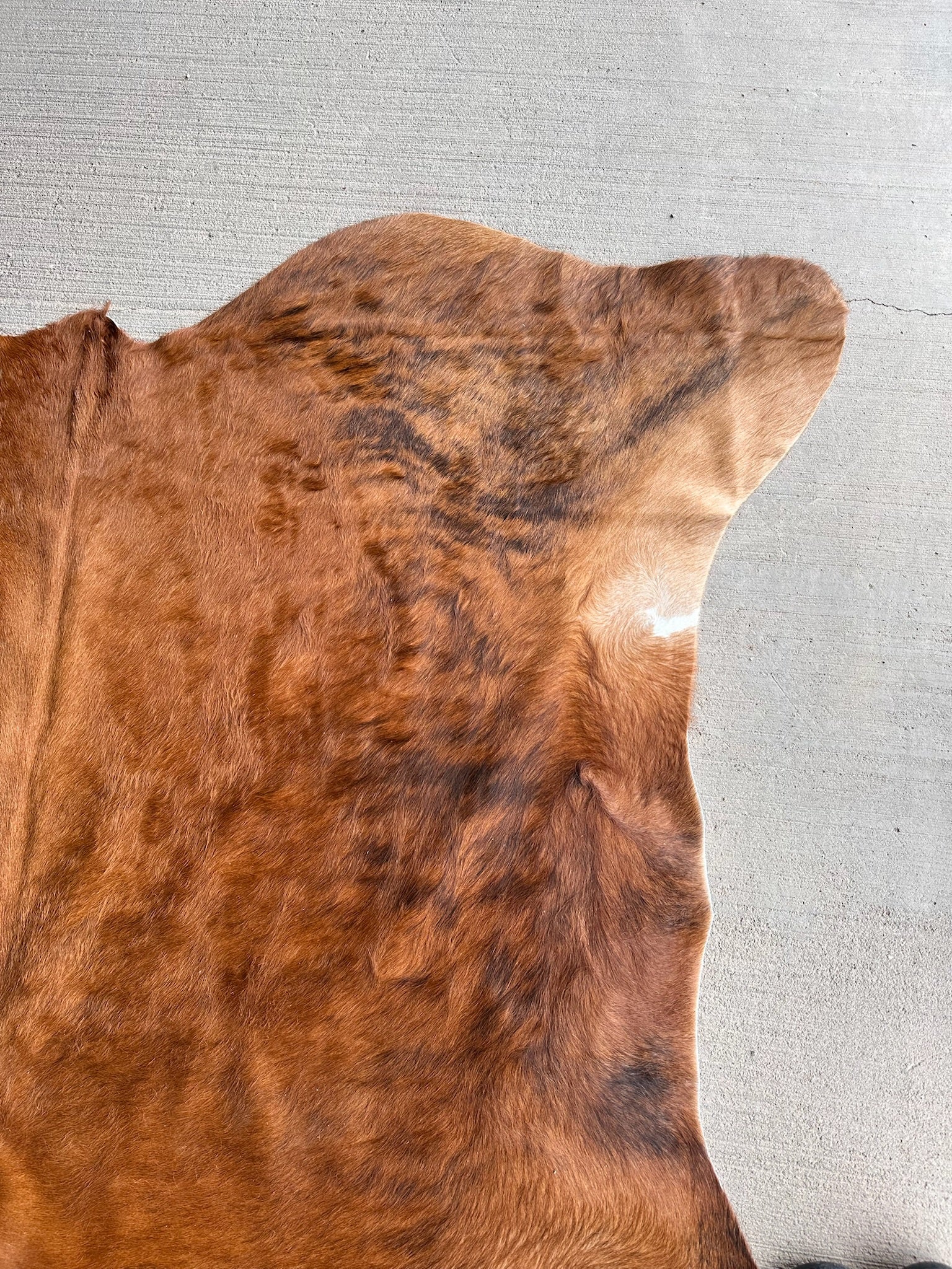 FHCOW29 - Premium Cow Hide Rugs Home Decor