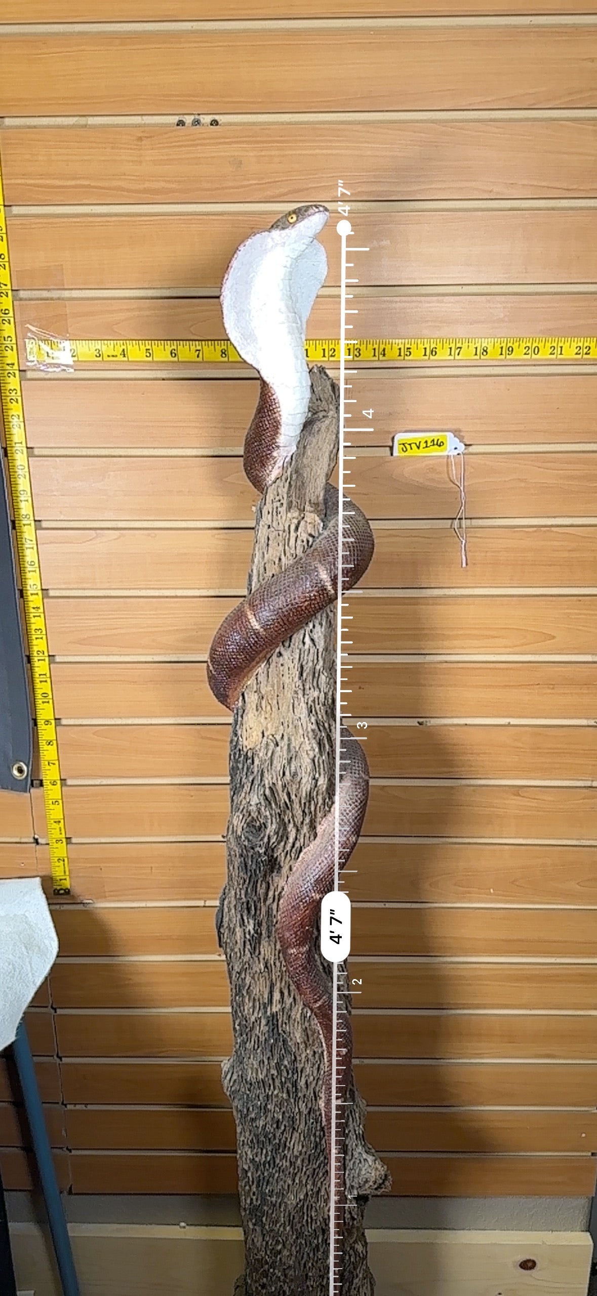 JTV479-Replica cobra snake taxidermy mount