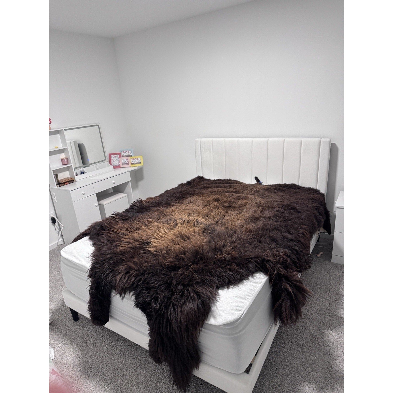 FHGUL1 - Premium Massive XXL bison Hide Rug Taxidermy Fur