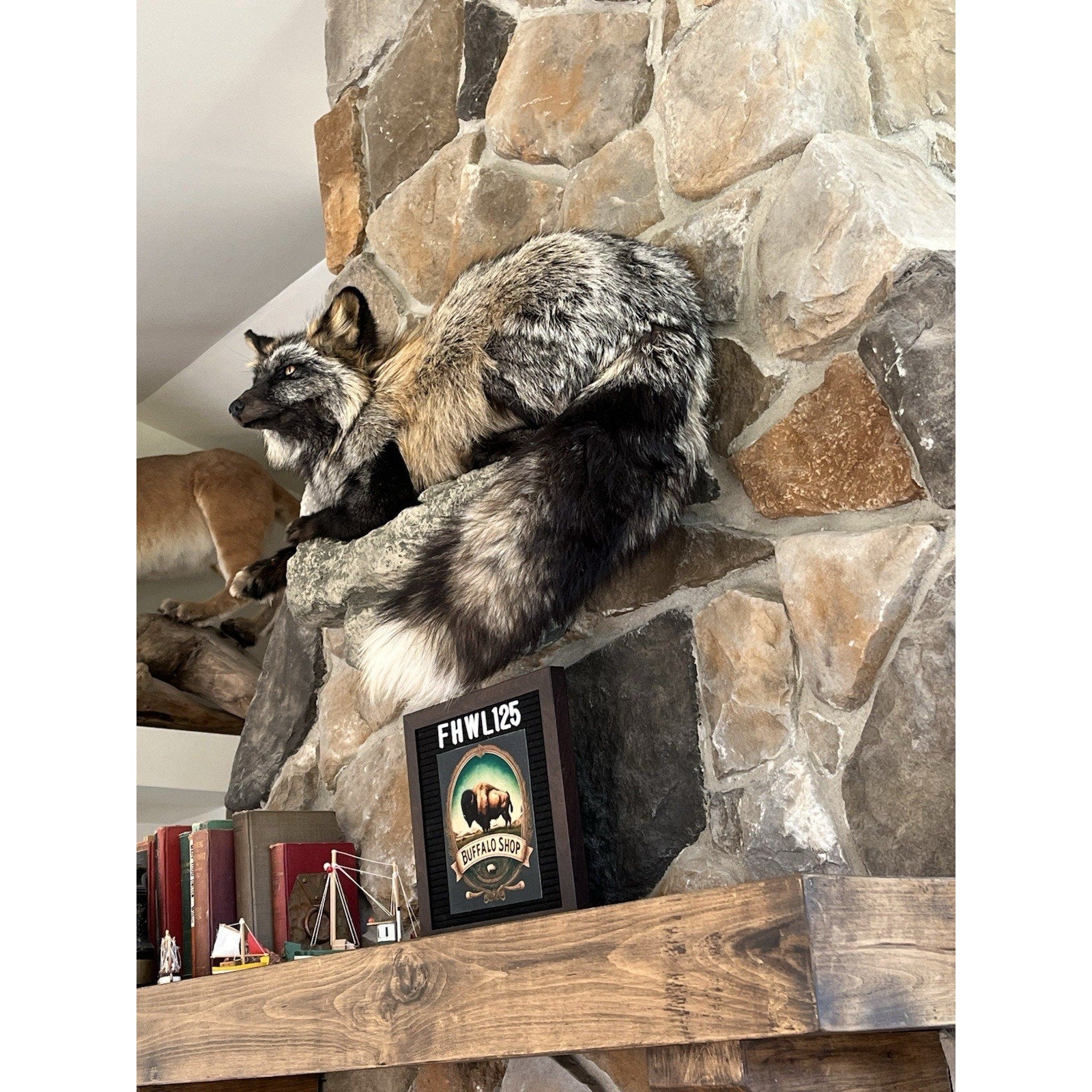 FHWL125 - Ranch Fox Taxidermy Full Body Mount