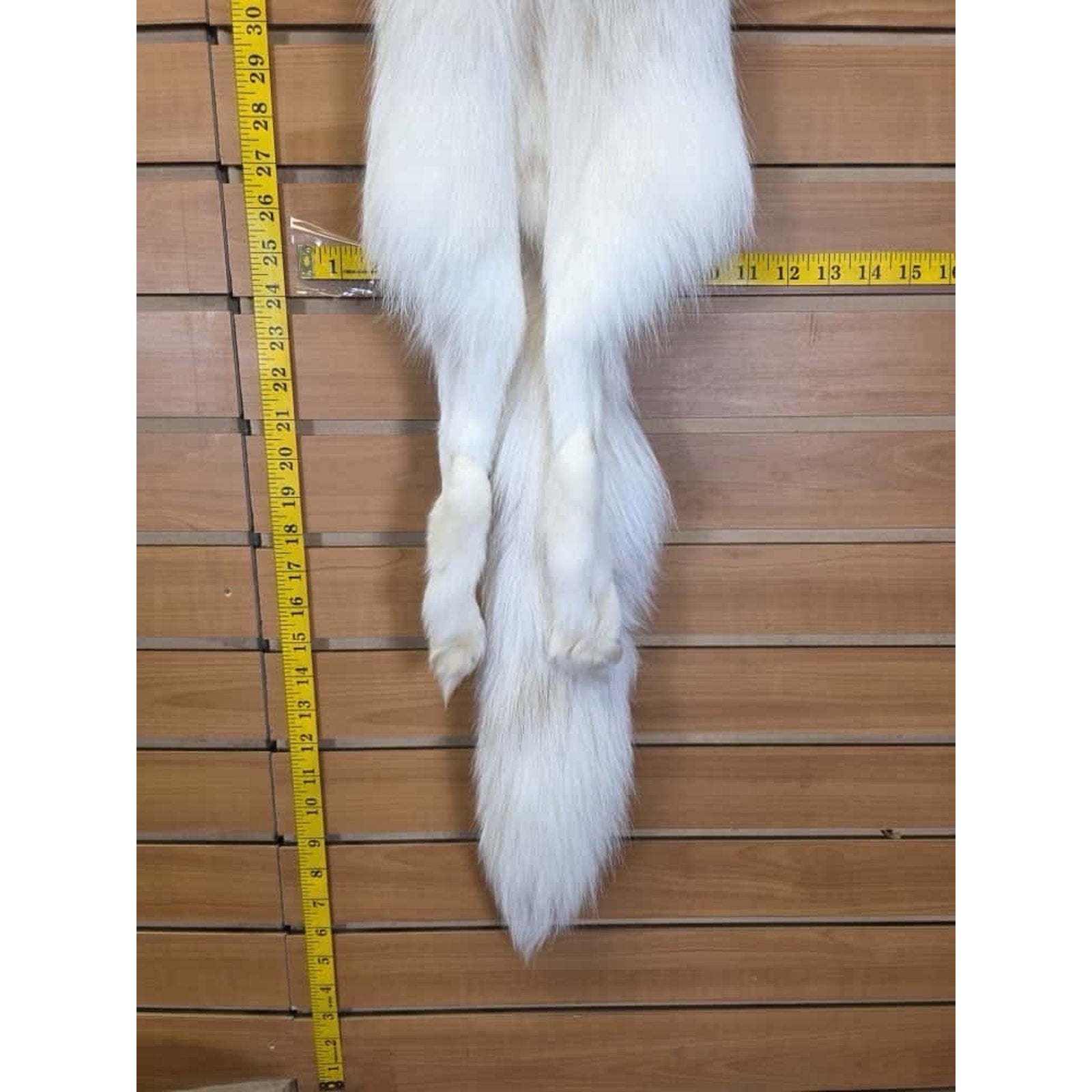 FHCM12 - Ranch Fox Soft Tanned Furs Taxidermy