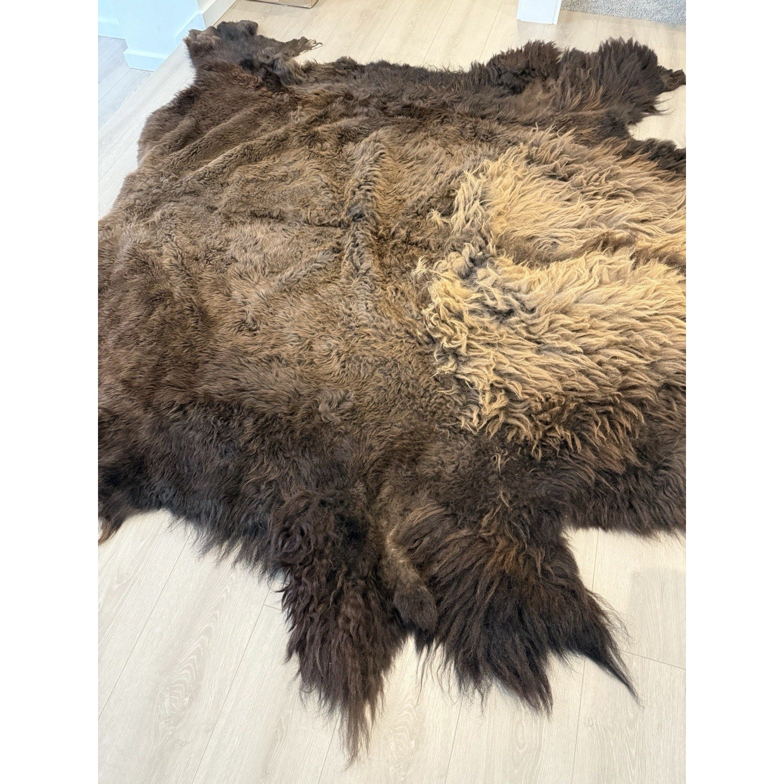 FHGUL5 - Premium Massive XXL bison Hide Rug Taxidermy Fur