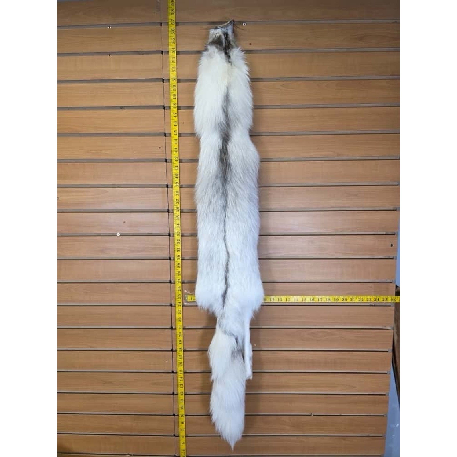FHCM12 - Ranch Fox Soft Tanned Furs Taxidermy