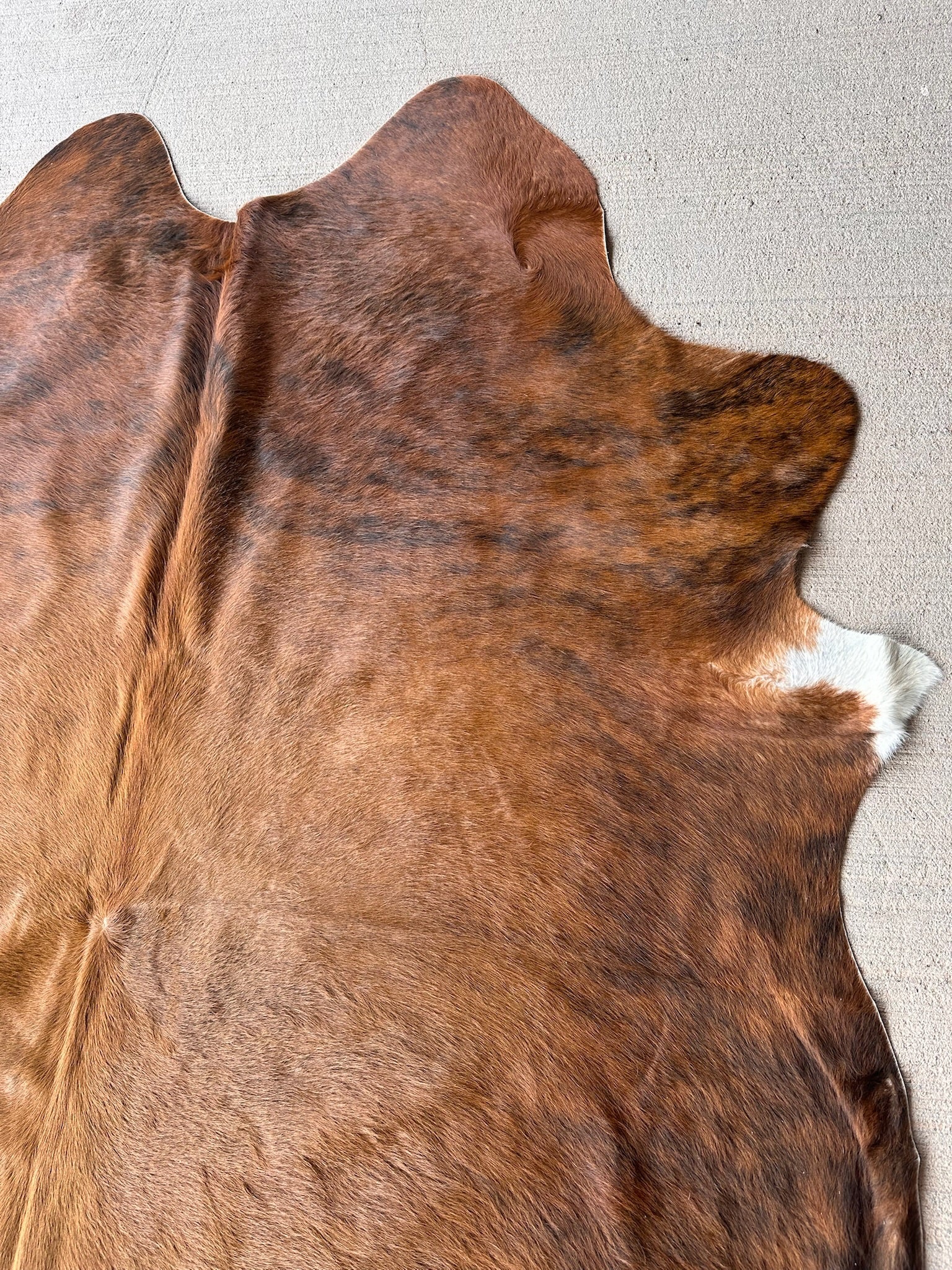 FHCOW29 - Premium Cow Hide Rugs Home Decor