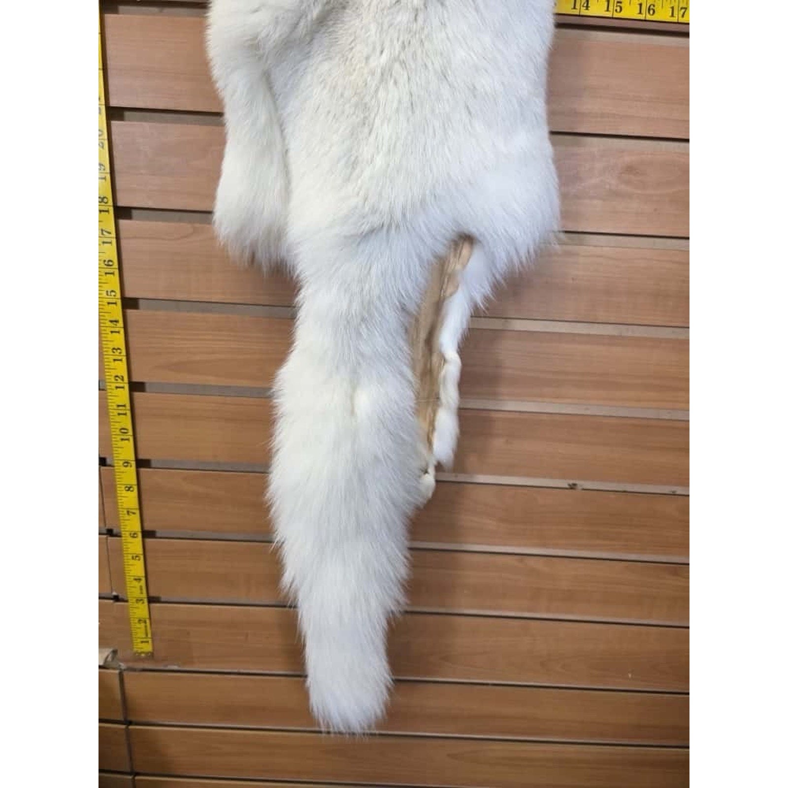 FHCM16 - Gorgeous White Ranch Fox Soft Tanned Fur
