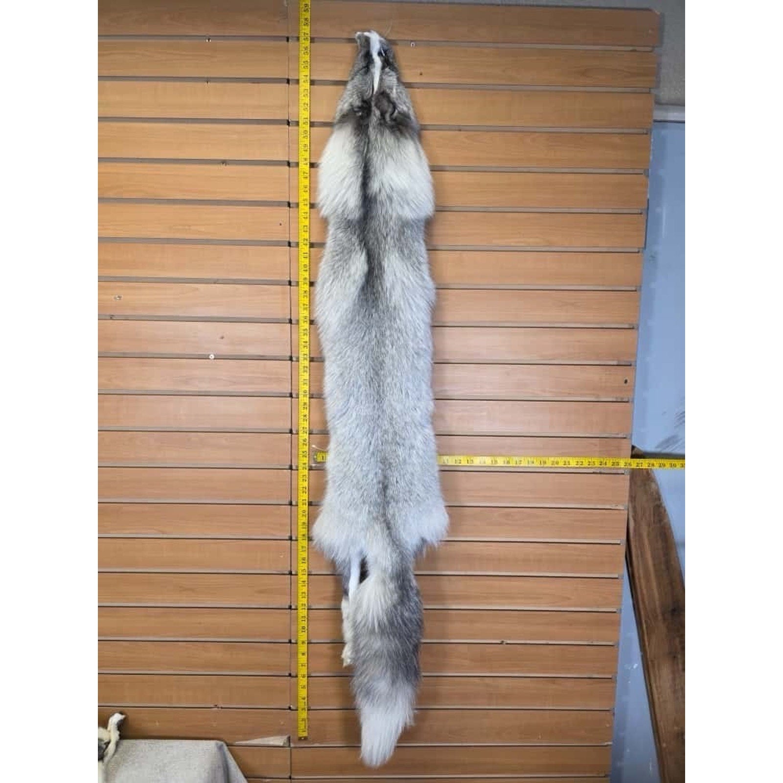 FHCM8 - Gorgeous Ranch Fox Soft Tanned Furs Taxidermy